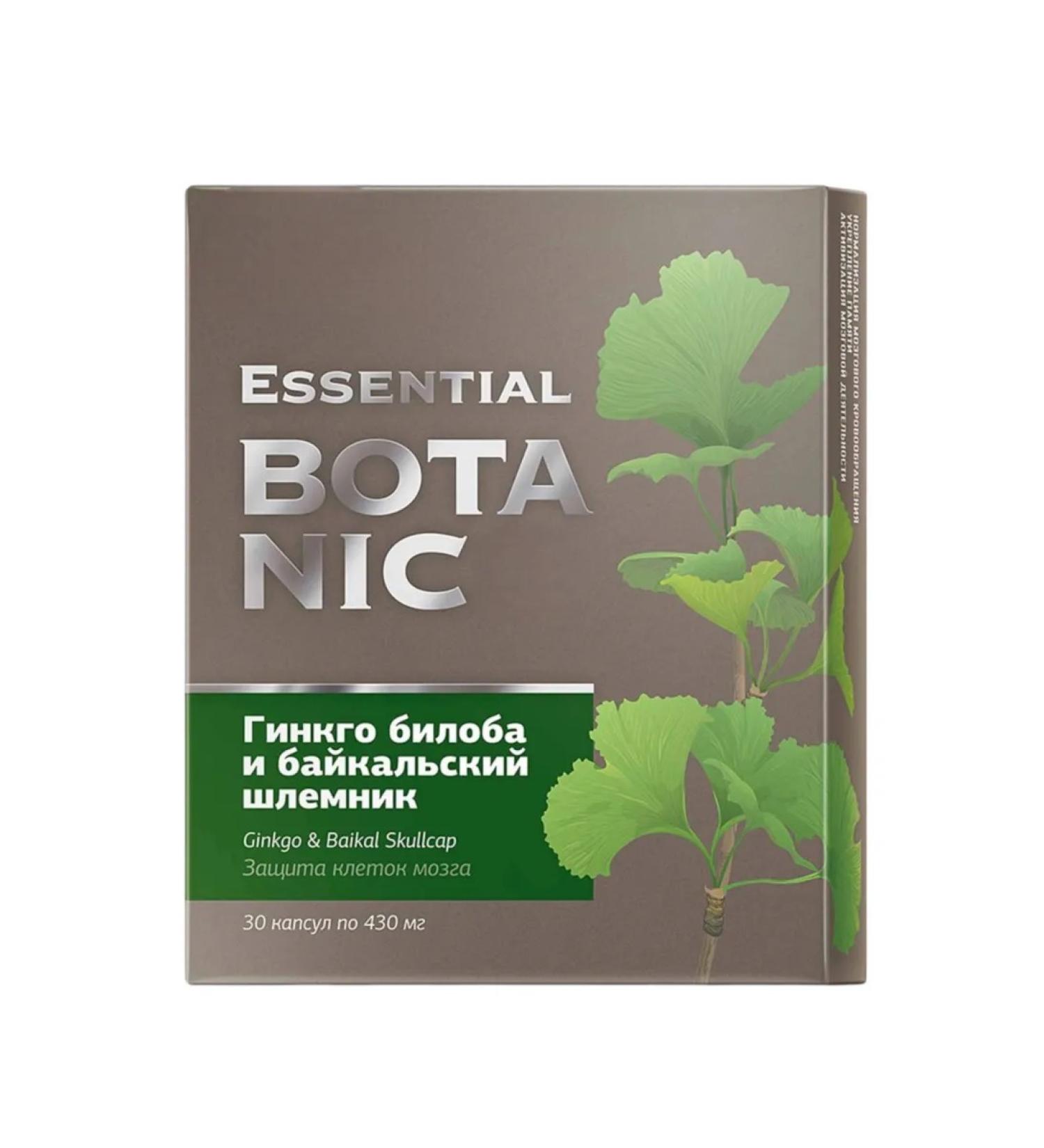 Siberian immunity Ginkgo Biloba and the Baikal helmet 30k Ginkgo Biloba