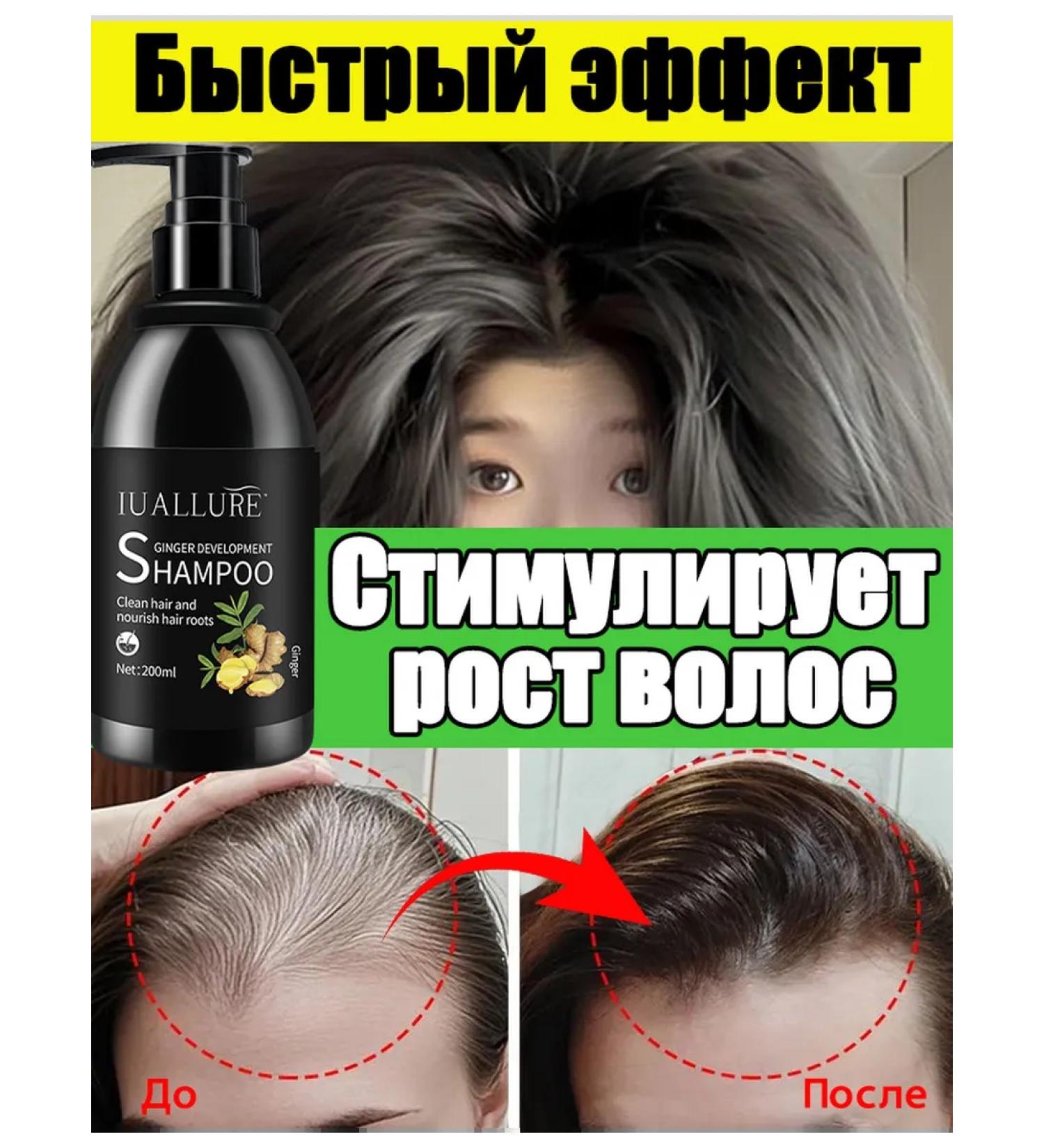 LYDIMOON Ginger shampoo nutrient 300 ml from hair loss - Buy Online on GoSupps.com