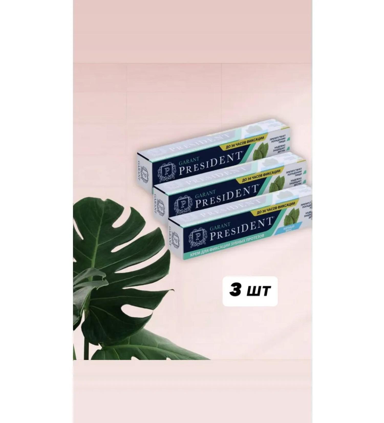 PRESIDENT Garant cream for fixing dentures with mint taste 40 ...