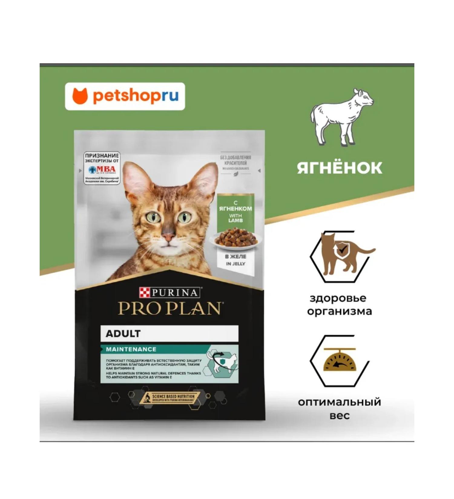 Purina Pro Plan Wet food for cats spider with lamb in jelly 85 gr - Buy Online on GoSupps.com