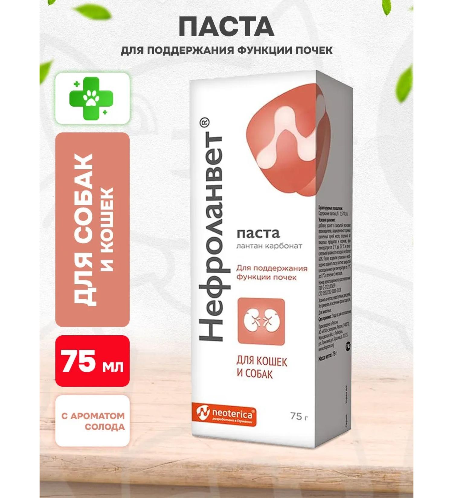 Neoterica Nephrosette paste for dog kidneys and cats 75 ml - Buy Online on GoSupps.com