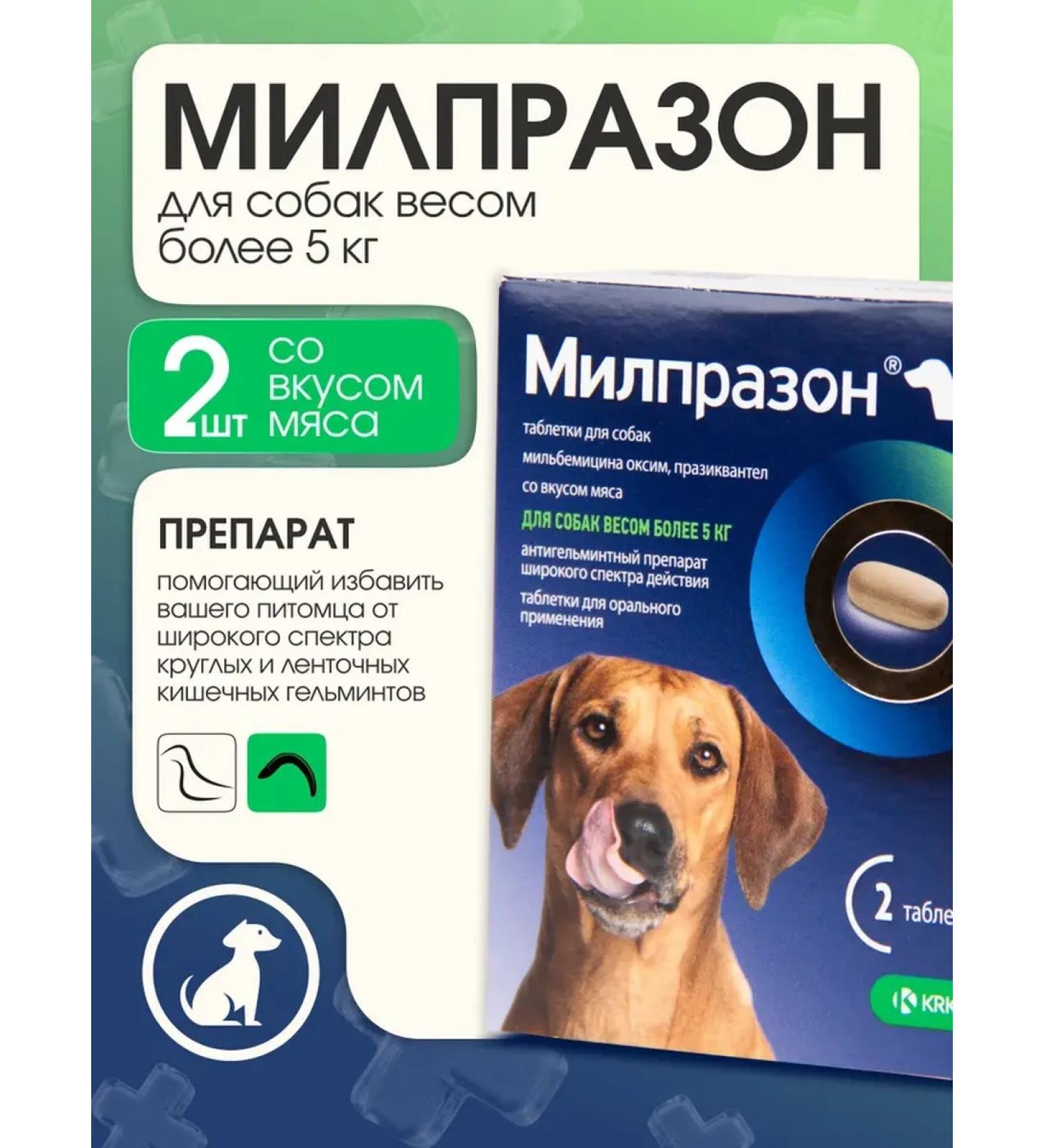 KRKA Milprazone Dog tablets more than 5 kg 2 tab - Buy Online on GoSupps.com