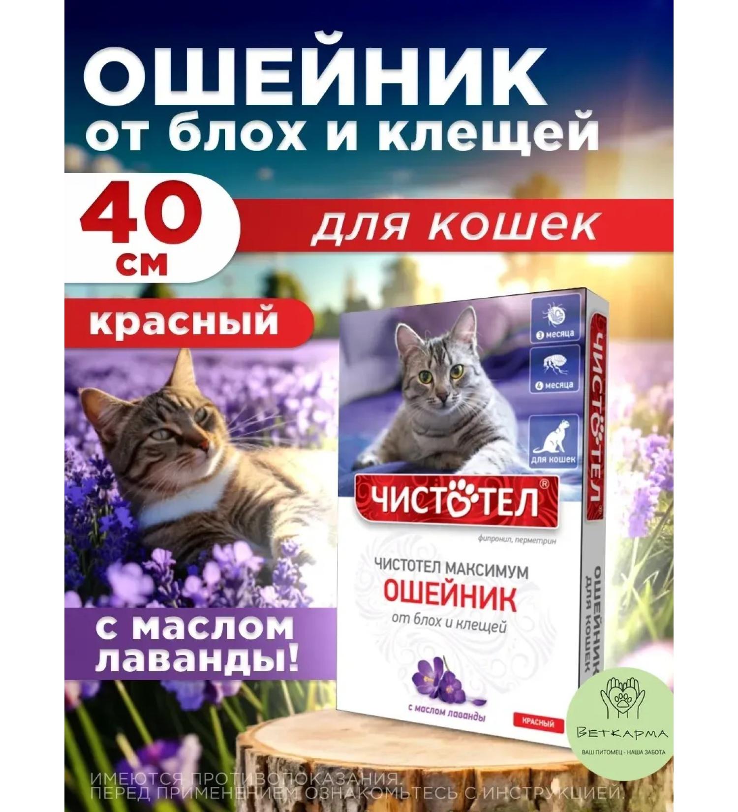 Neoterica Celandine maximum collar 40 cm red - Buy Online on GoSupps.com