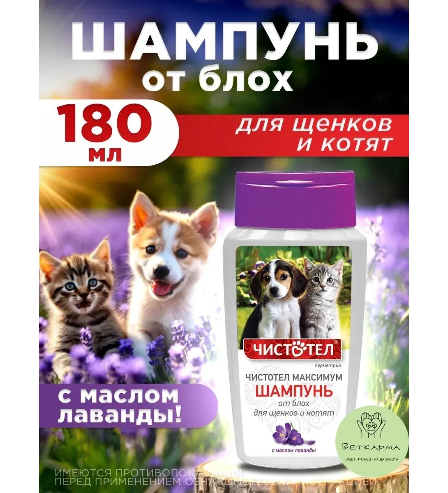 Neoterica Celandine maximum flea shampoo for cats - Buy Online on GoSupps.com