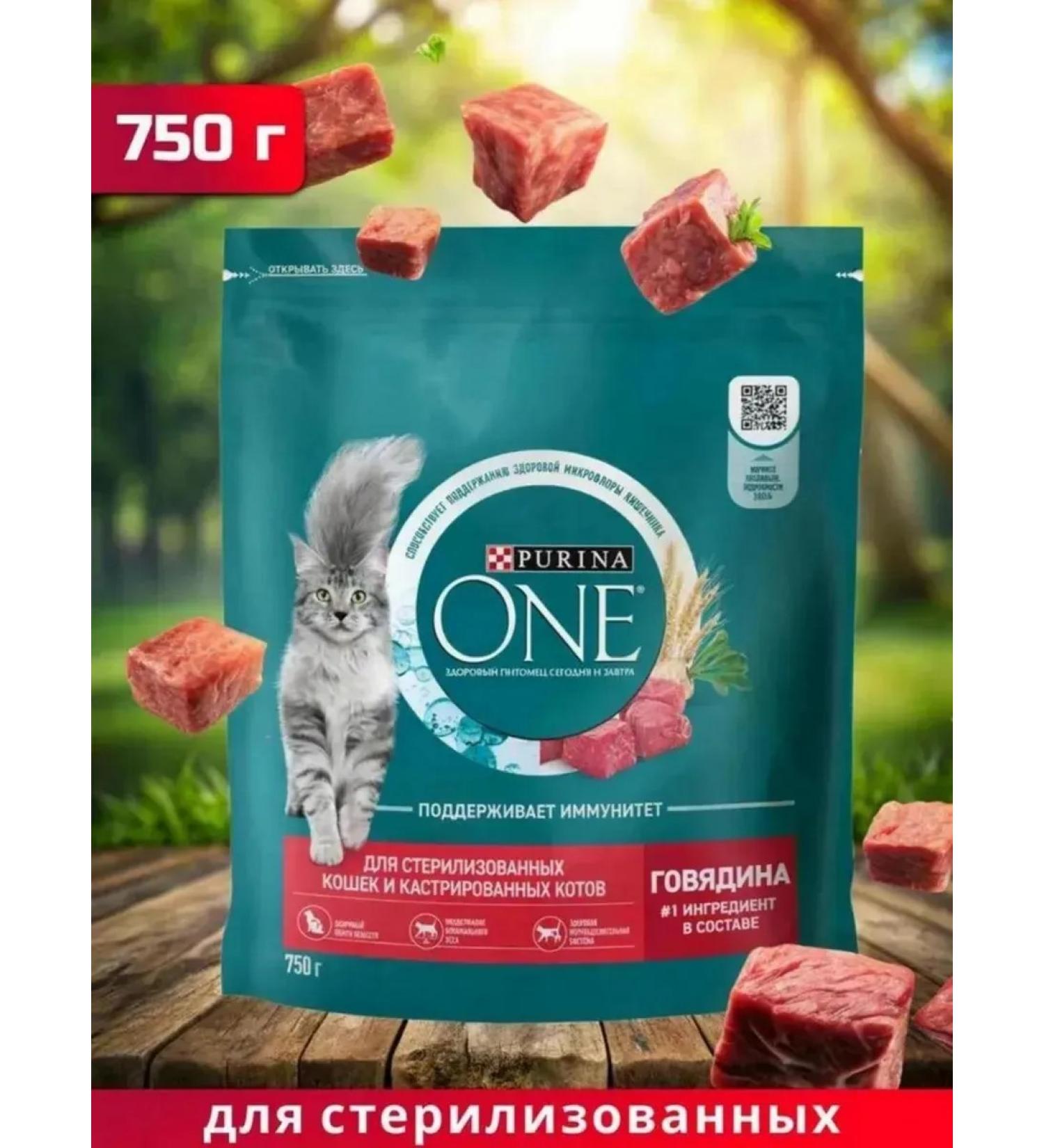 PURINA ONE Dry food for sterilized cats with beef 750 g - Buy Online on GoSupps.com