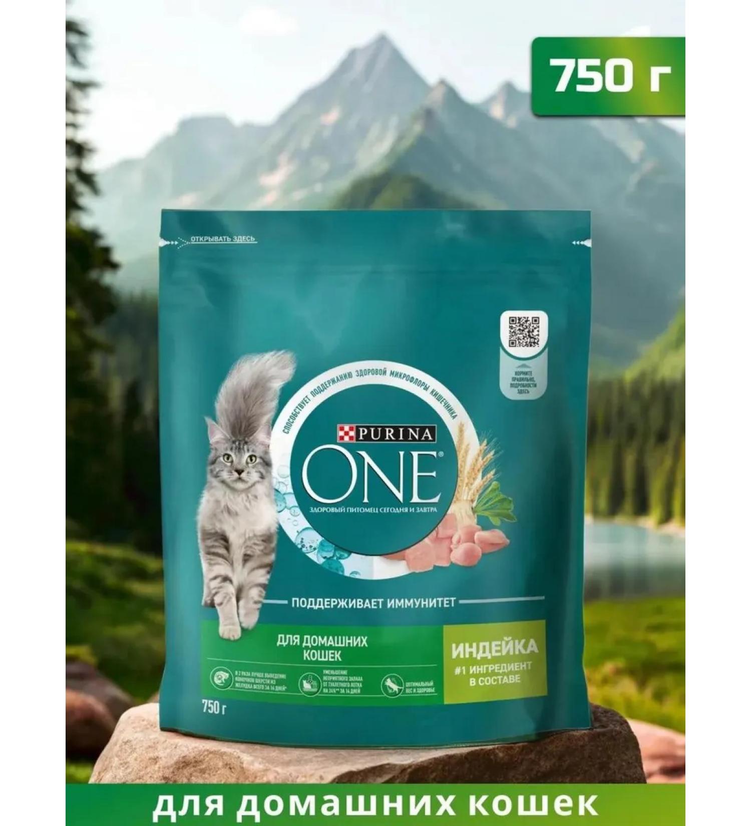 PURINA ONE Dry food for adult domestic cats with turkey 750 g - Buy Online on GoSupps.com