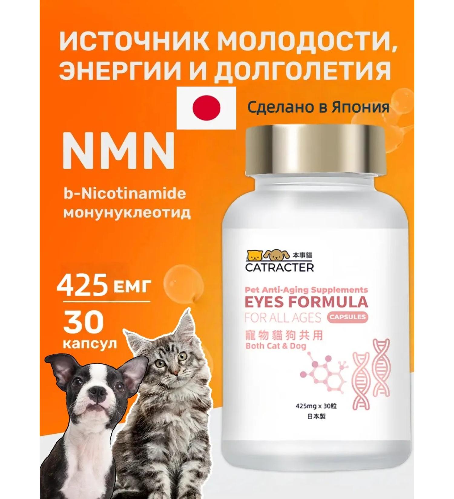CATRACTER ben shi mao Pets for pets nmn bone protection eye protection - Buy Online on GoSupps.com