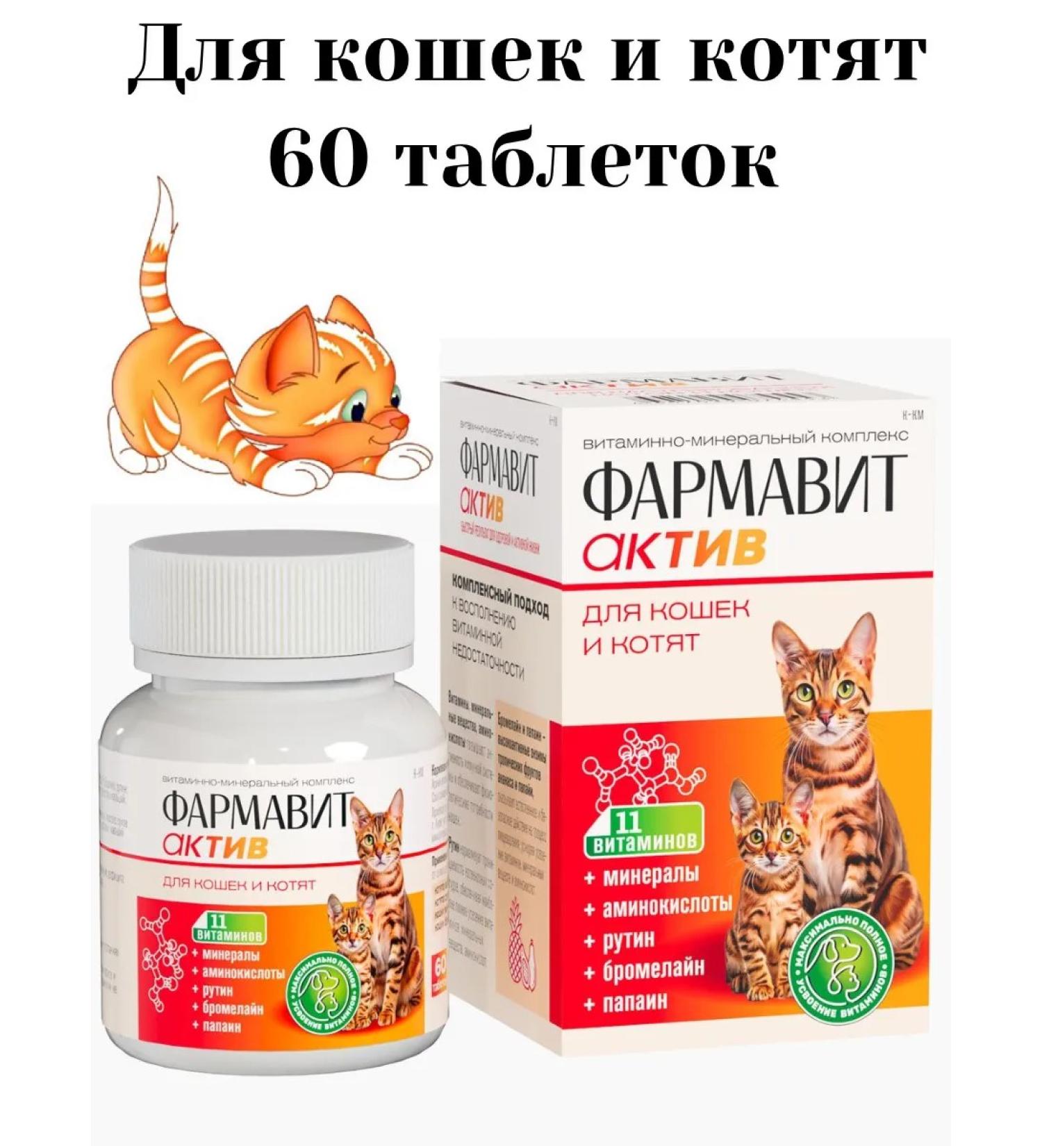 Farmavit Active Vitamins for cats and kittens 60 tablets - Buy Online on GoSupps.com