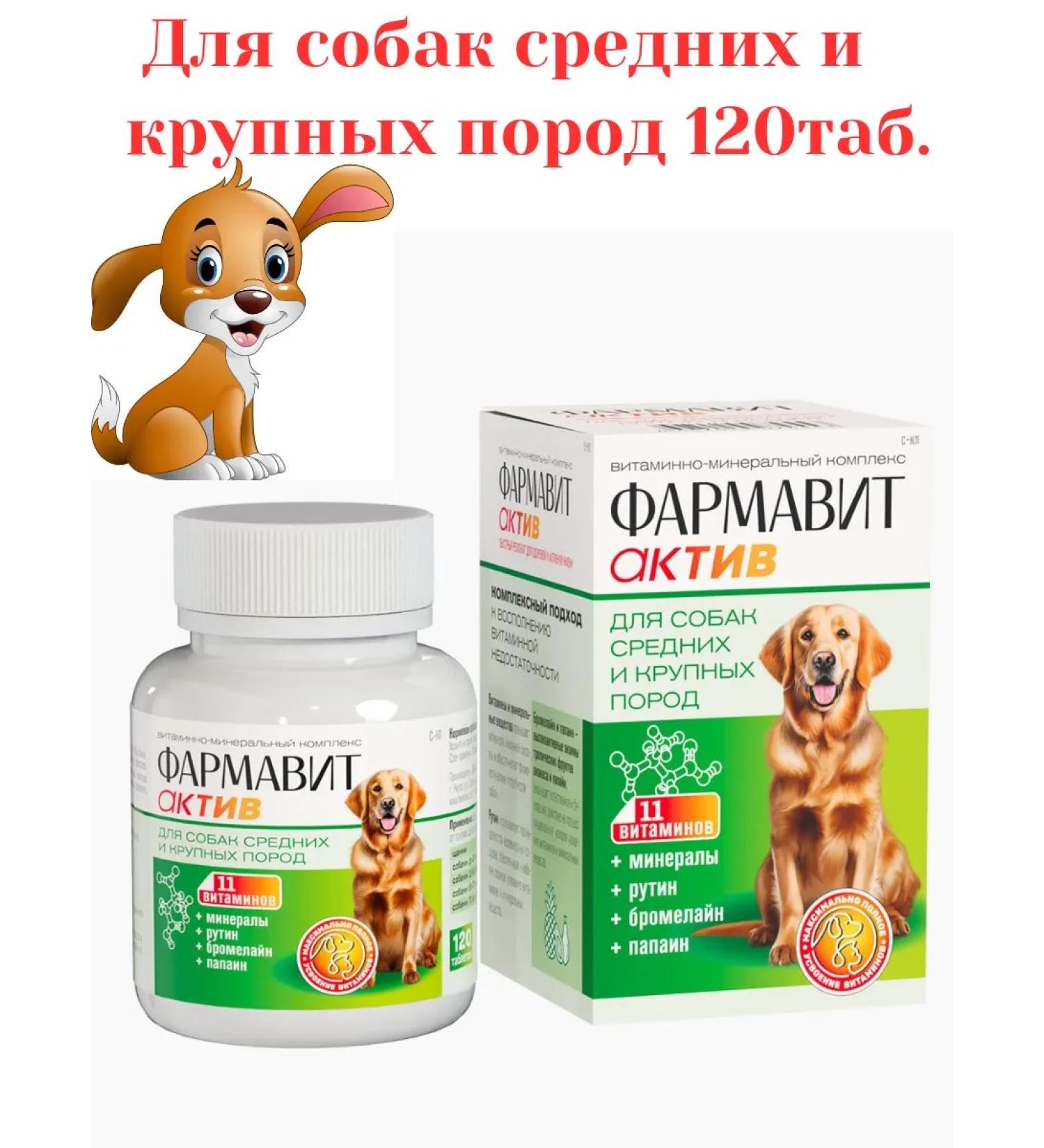 Farmavit Active Vitamins for dogs of medium and large rocks 120 tablets - Buy Online on GoSupps.com