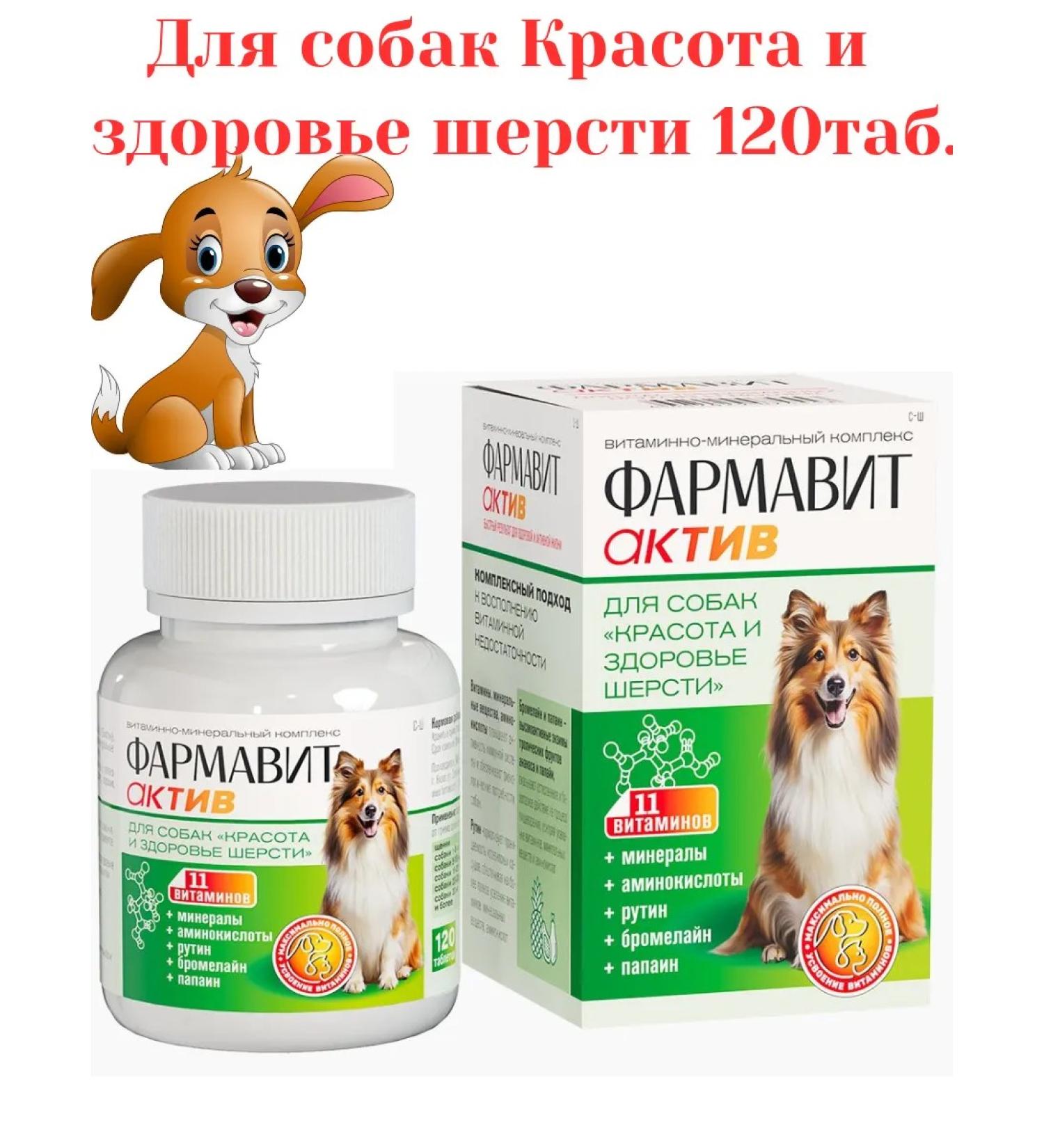 Farmavit Active Vitamins for dogs Beauty and health of wool 90 tablets - Buy Online on GoSupps.com