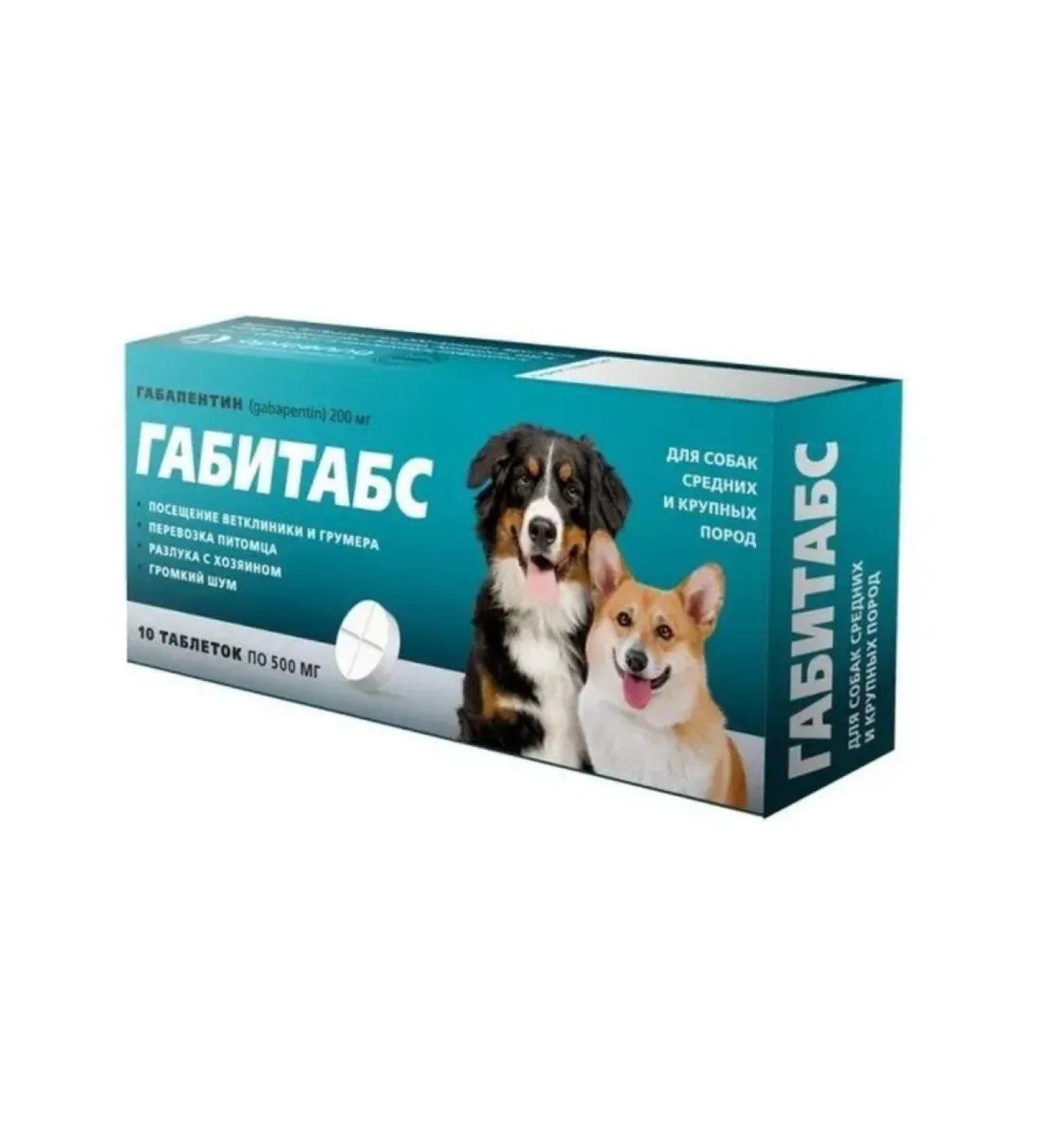 Apicenna Gabitabs pills sedatives for dogs 10 tab