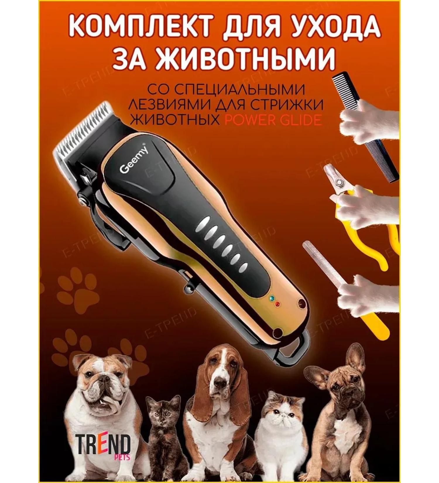 Yes indeed Carrying machine for dogs and cats - - Buy Online on GoSupps.com