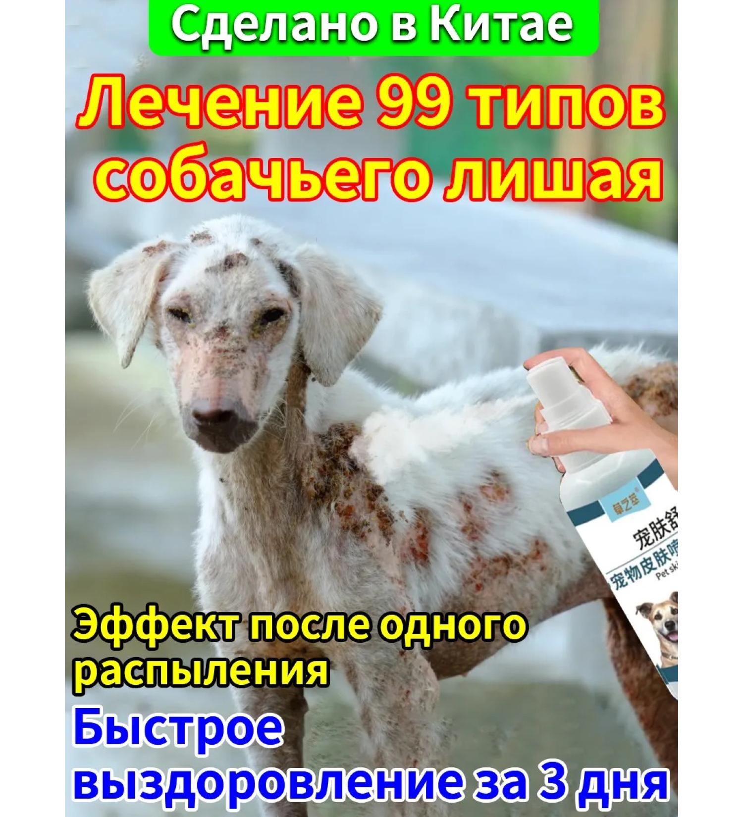 Itching spray for dogs is suitable for any age - Buy Online on GoSupps.com