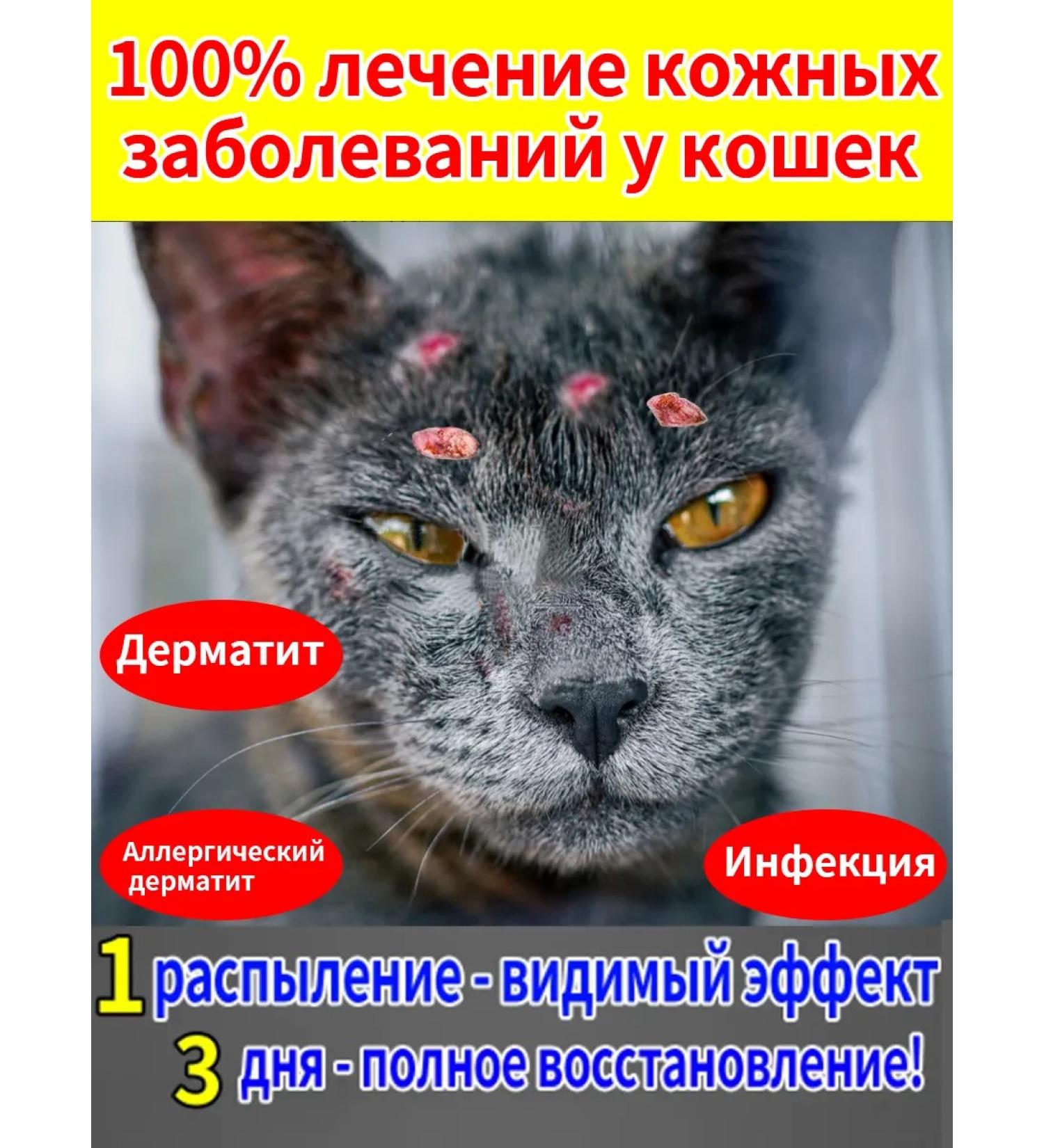 Treatment of dermatoses in cats of lichen erosion Zuda-5flakon-100ml - Buy Online on GoSupps.com