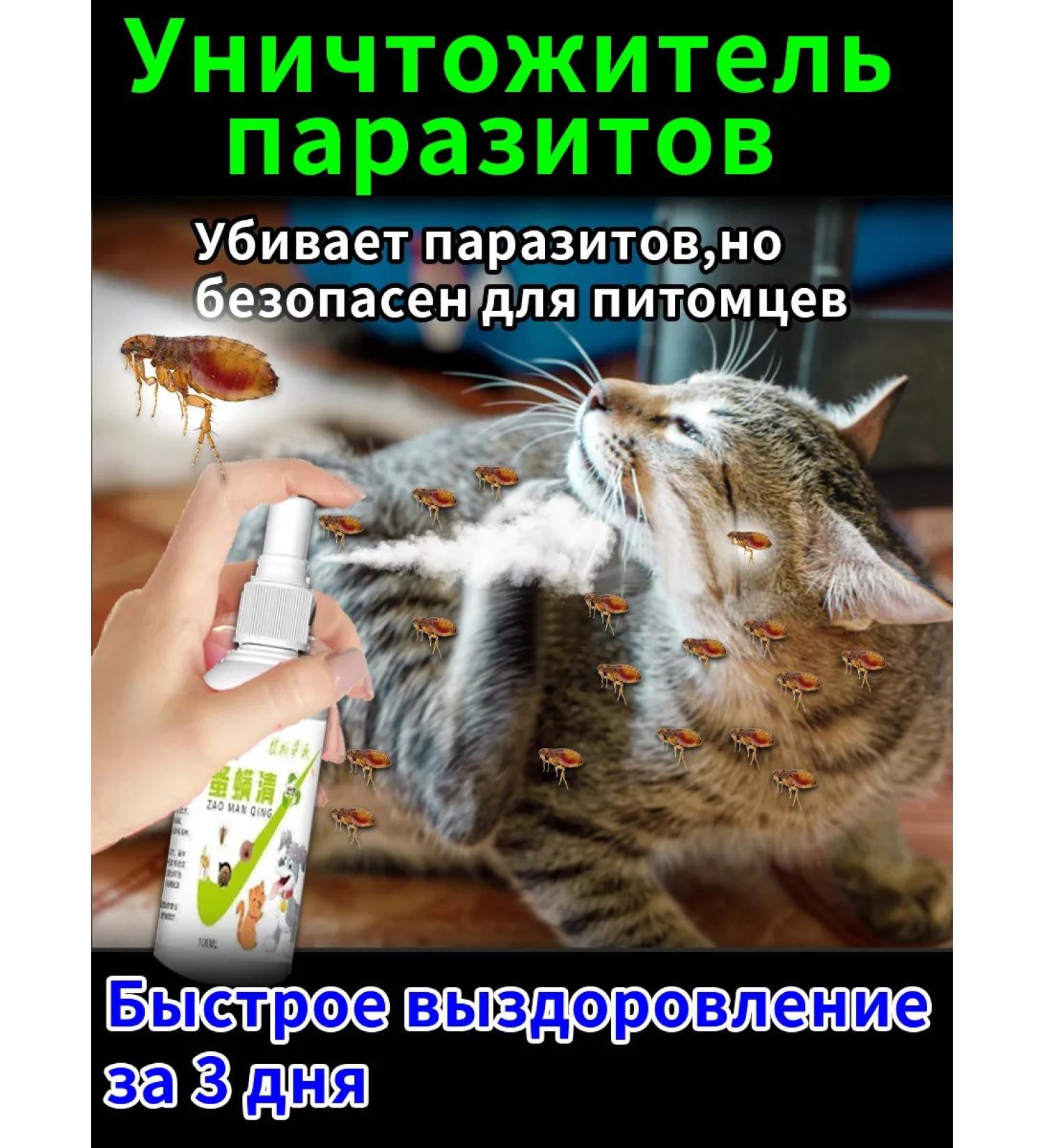 Spray from itching and combs for cats and dogs 3Flacon-100ml - Buy Online on GoSupps.com