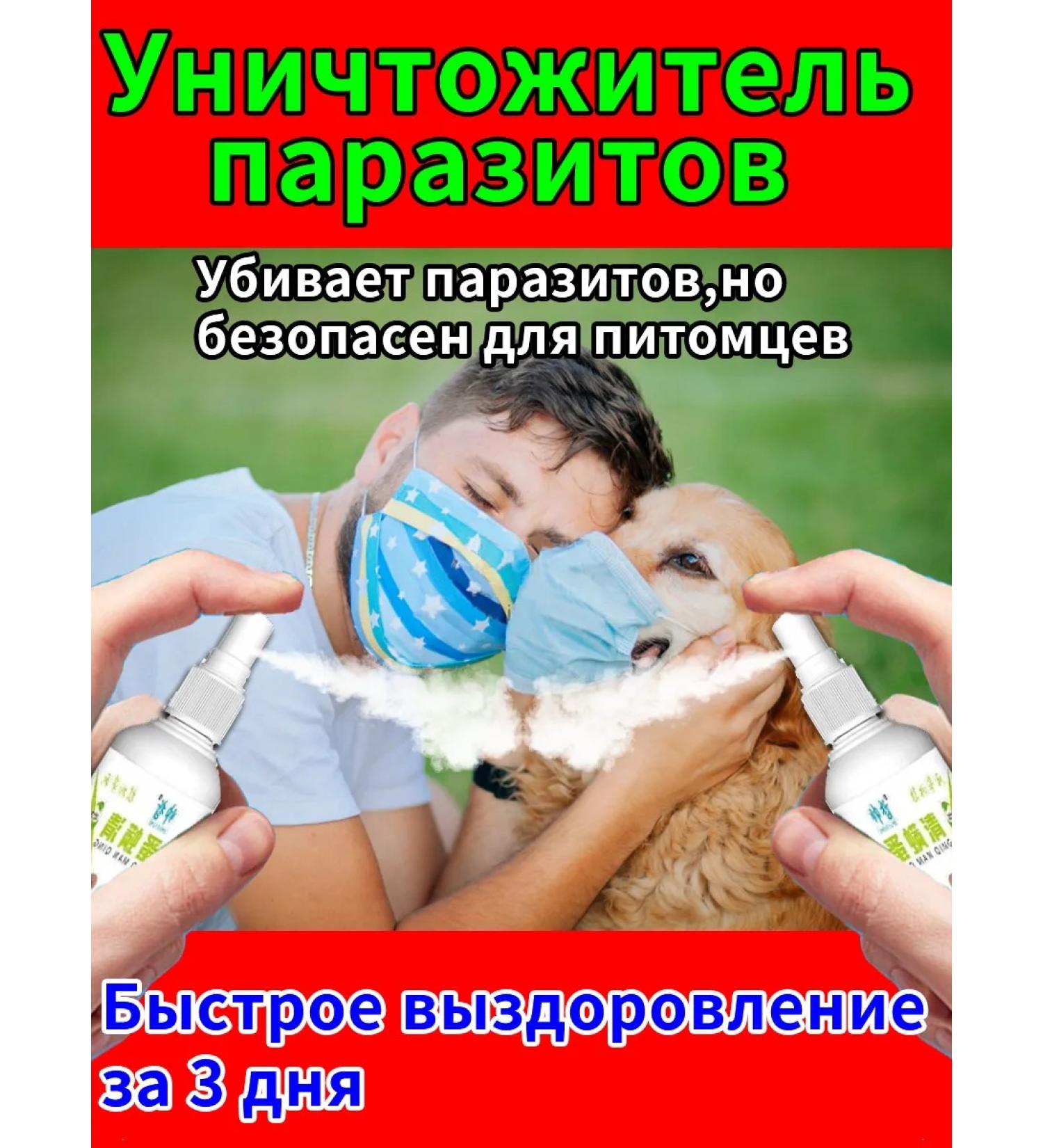 Spray from itching and combs for cats and dogs 1Flakon-100ml - Buy Online on GoSupps.com