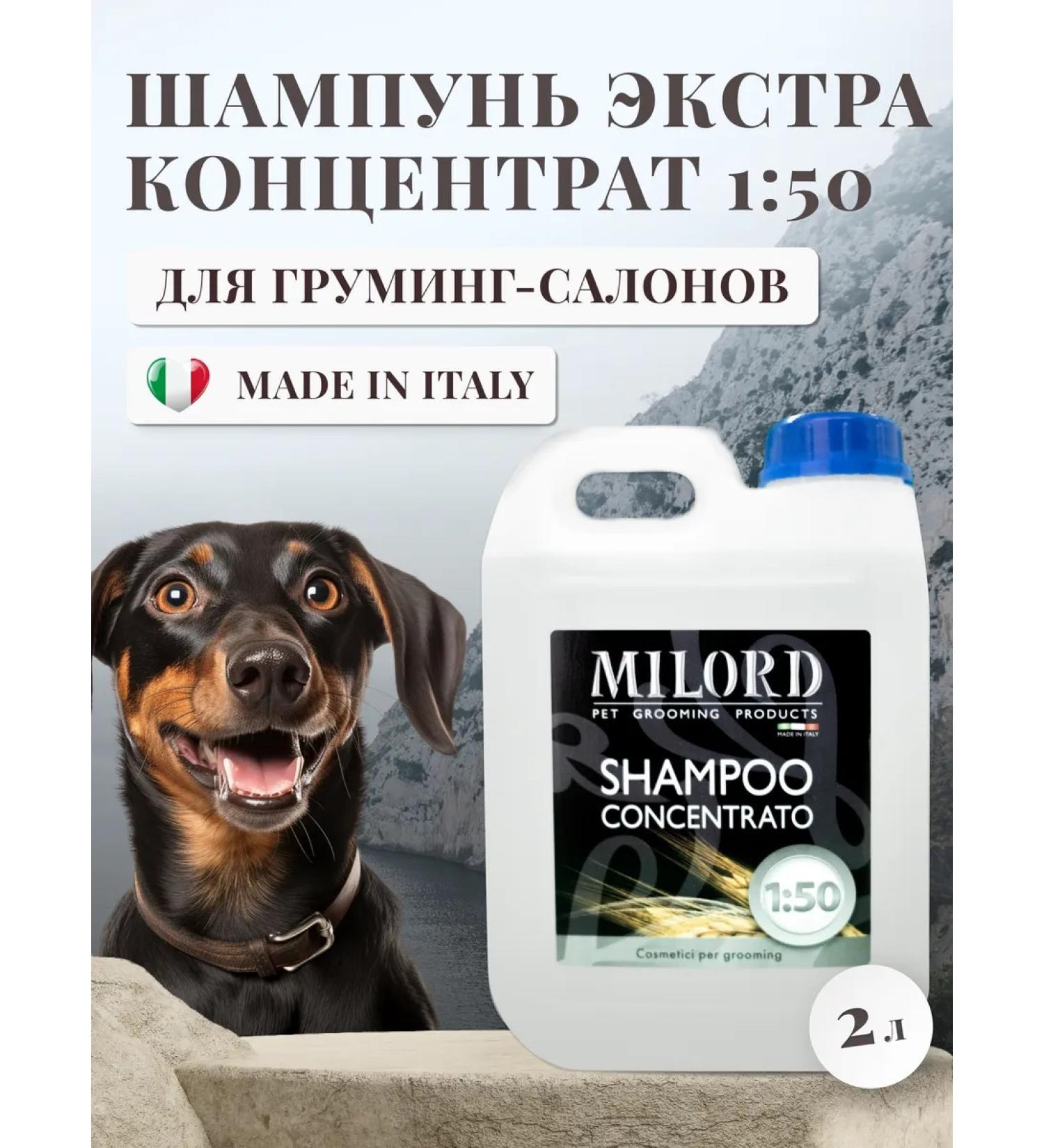MILORD Professional concentrated dog shampoo 1 50 - Buy Online on GoSupps.com