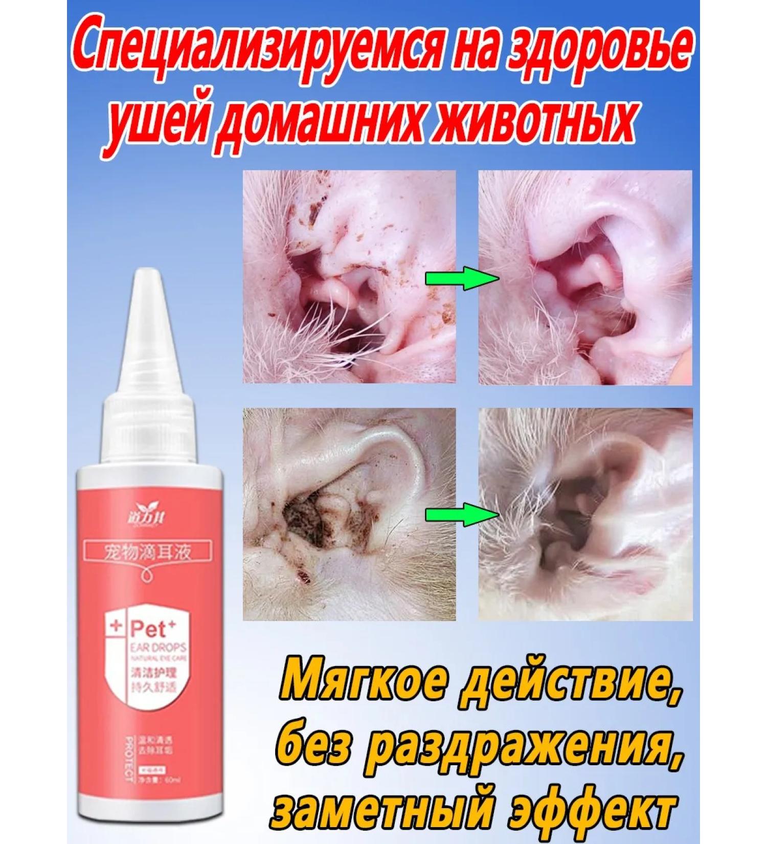 Hargon drops with antibacterial for cats and dogs 60ml - Buy Online on GoSupps.com