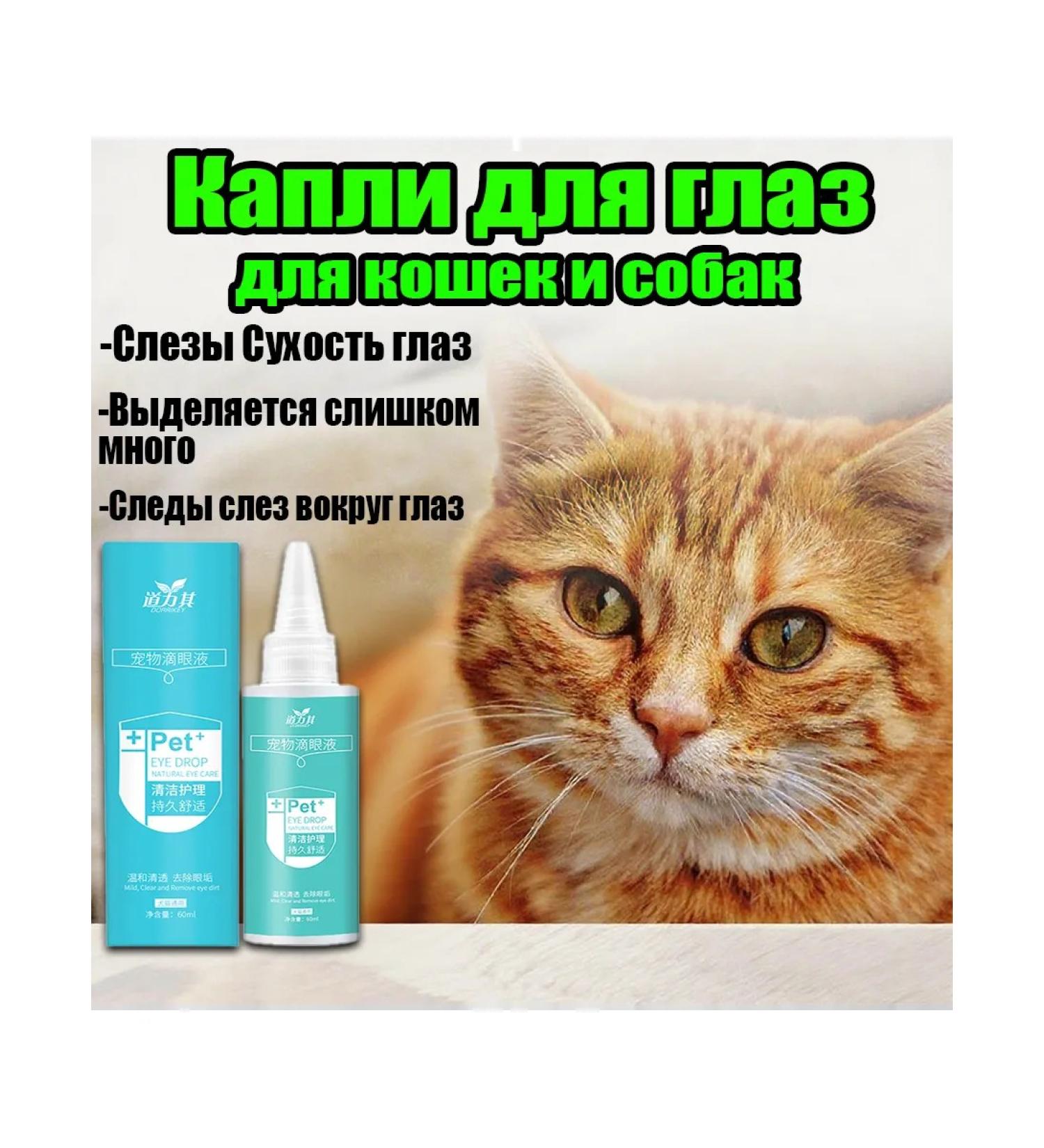 Eye care for dogs and cats - Buy Online on GoSupps.com