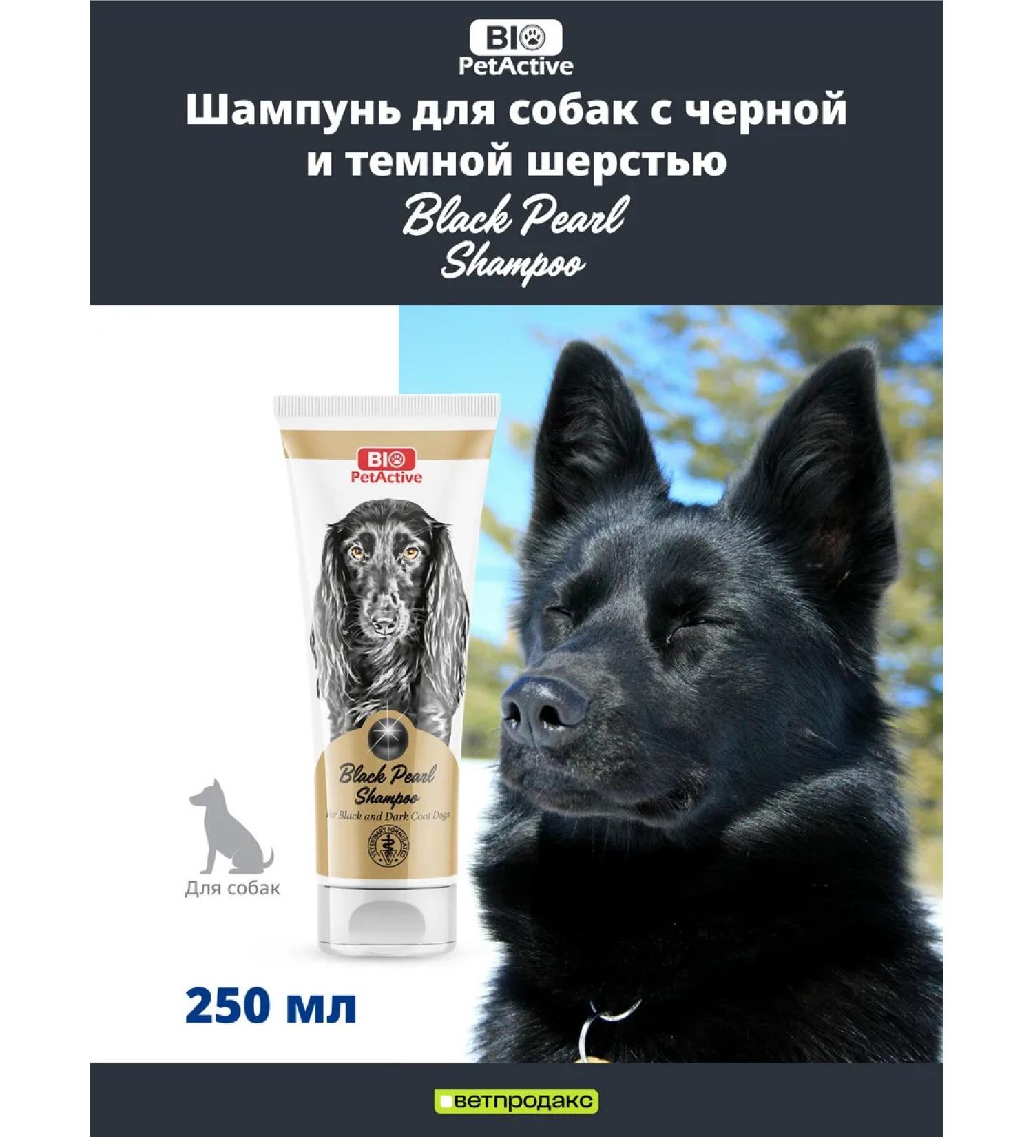 BioPetActive Black Pearl dark hair shampoo 250 ml