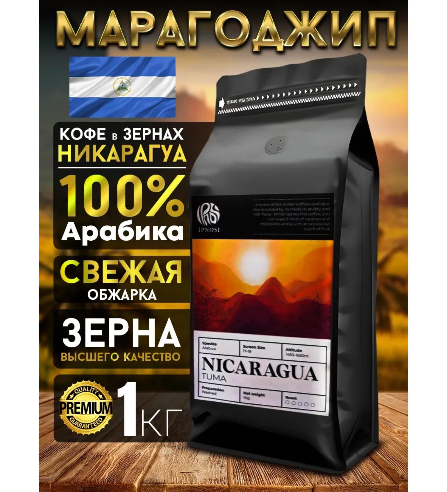 Coffee Bean Maragojip Nicaragua in grains of 1 kg of arabica 100% natural - Buy Online on GoSupps.com