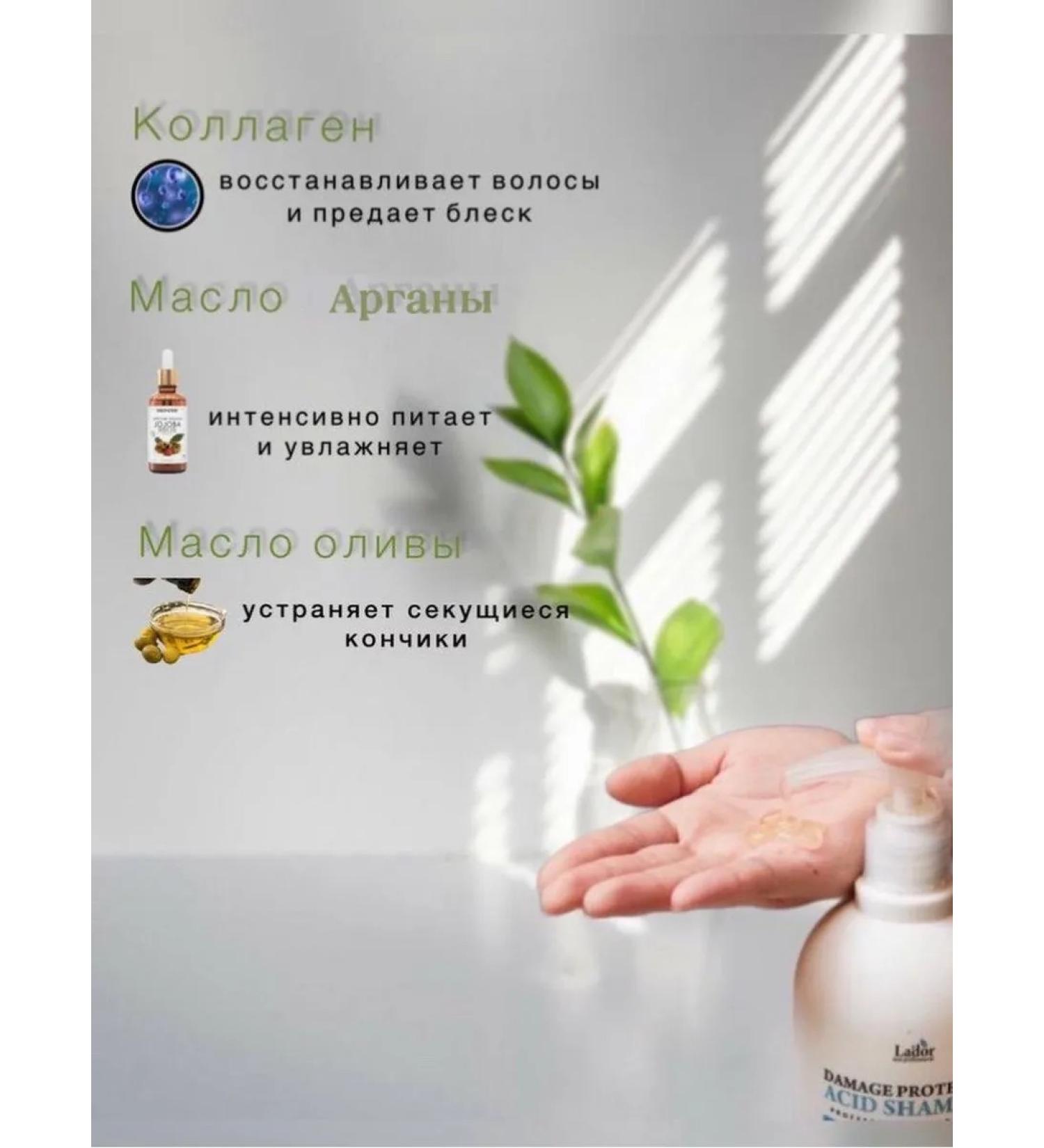 ShampoosEnter Hair shampoo Korean professional - Buy Online on GoSupps.com