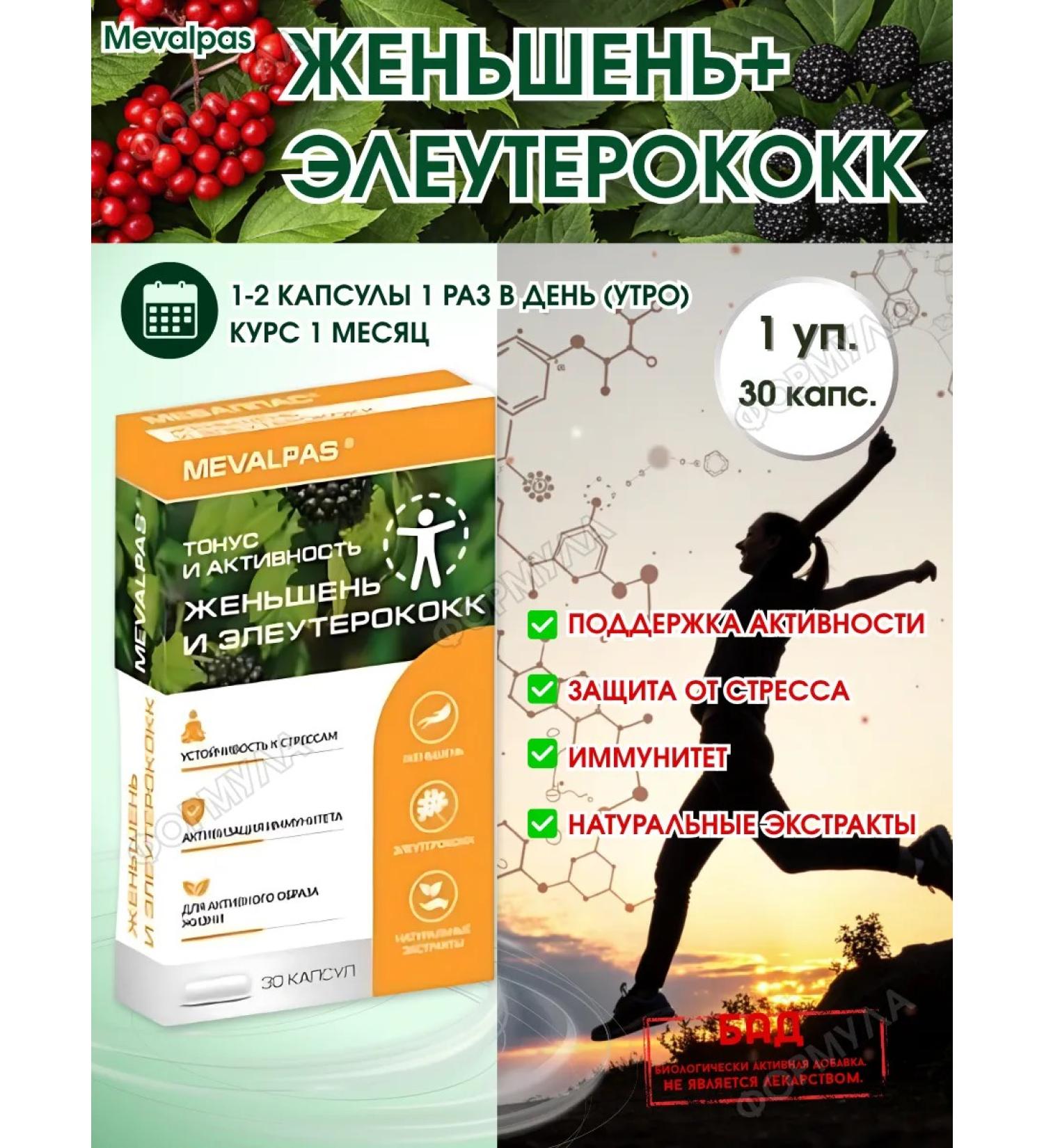 MEVALPAS Ginseng eleutherococcus for tone and strength 30 cap.*1 - Buy Online on GoSupps.com