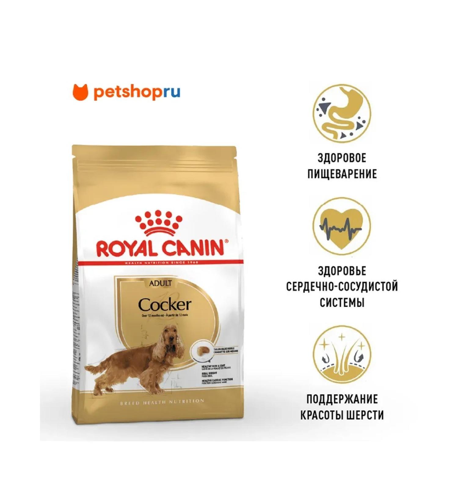 ROYAL CANIN Cocker Adult for dogs of the breed Coker-Spaniel from 1 year 3kg - Buy Online on GoSupps.com