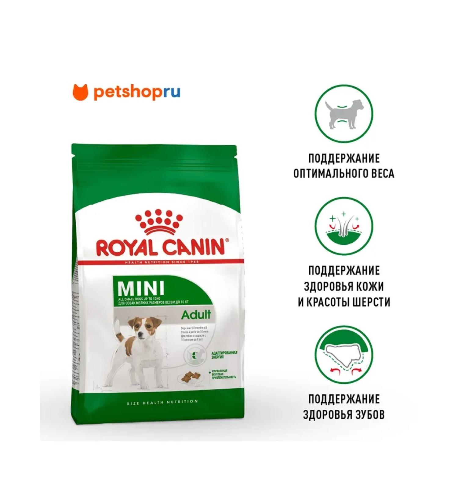 ROYAL CANIN Dry Mini Adult food for small dogs from 10 months 2 kg - Buy Online on GoSupps.com