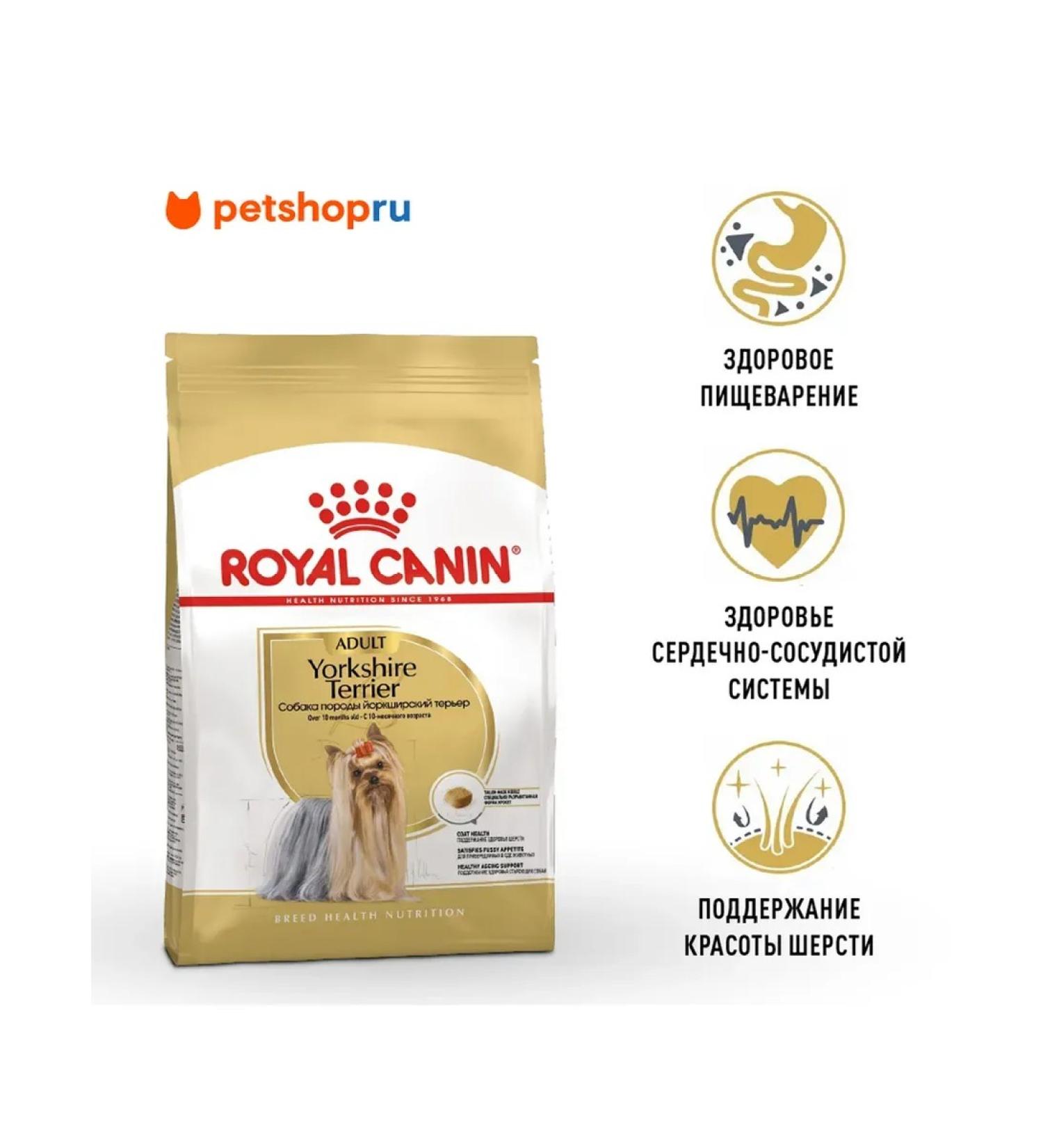 ROYAL CANIN Yorkshire Terrier Feed of dogs of the Yorkshire Terrier breed 3kg - Buy Online on GoSupps.com