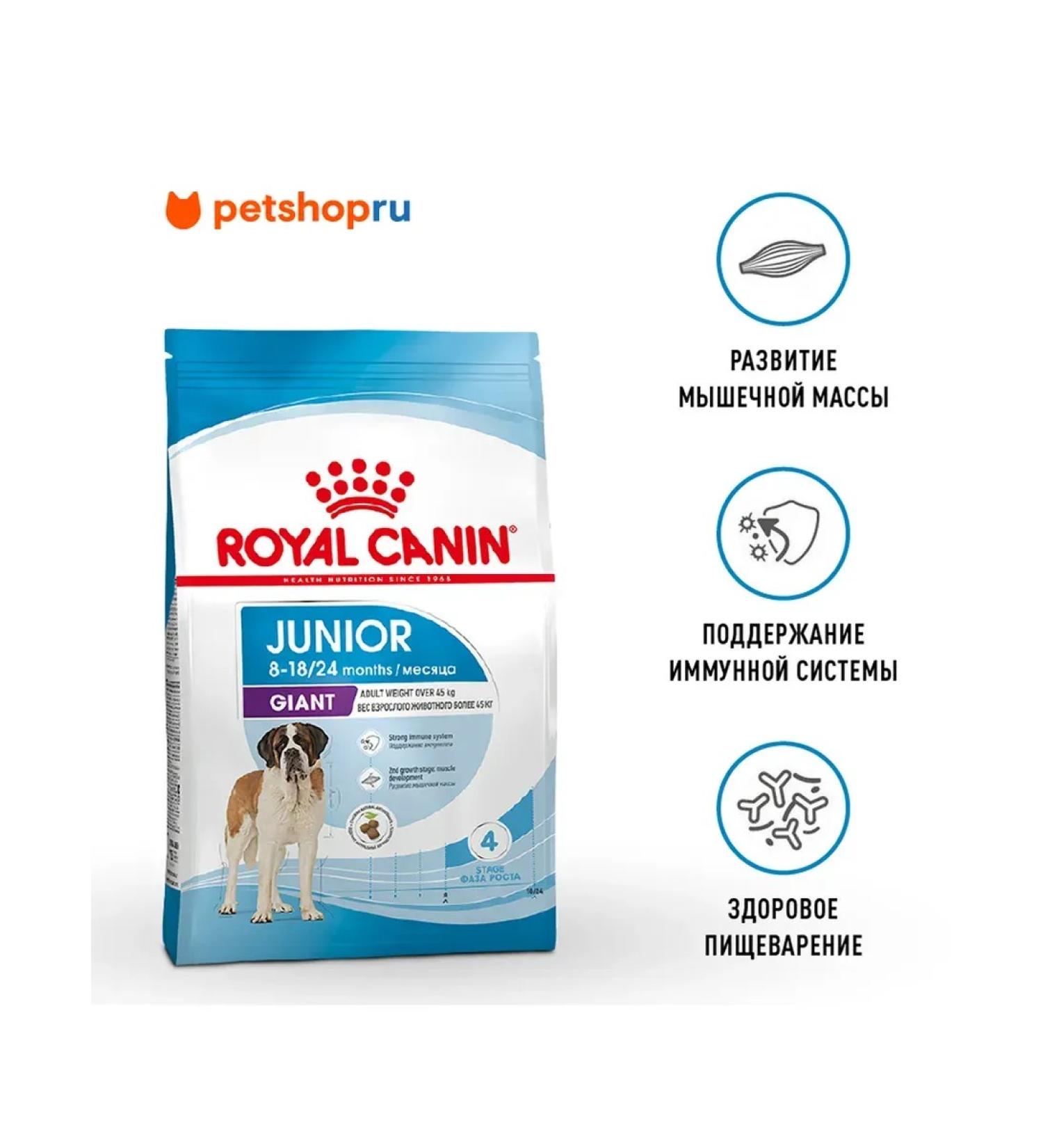 ROYAL CANIN Giant Junior for puppies from 8 months. giant breeds 3.5 kg - Buy Online on GoSupps.com