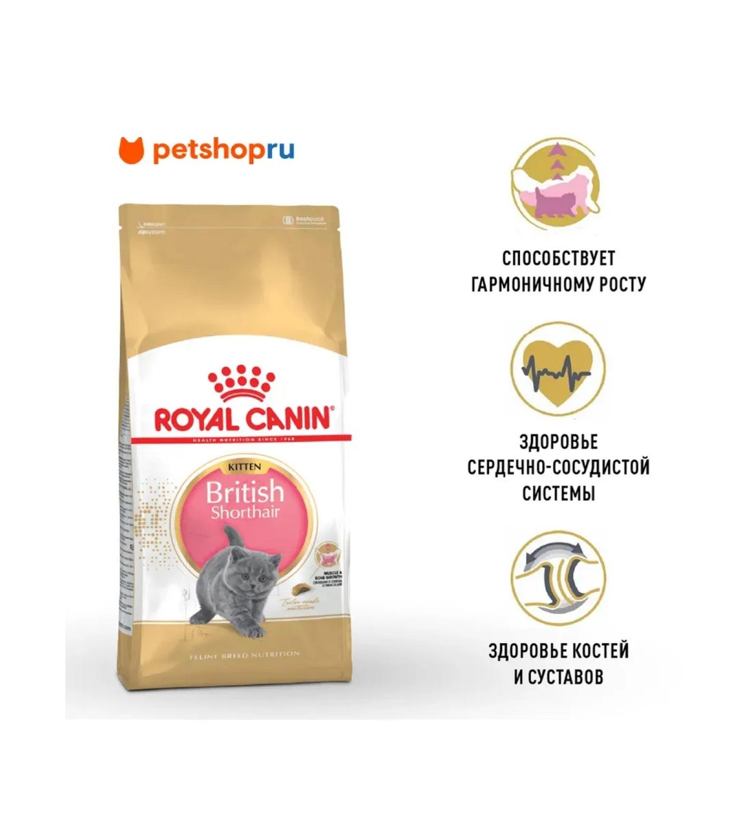 ROYAL CANIN British Shorthair Kitten food for British kittens 2kg - Buy Online on GoSupps.com