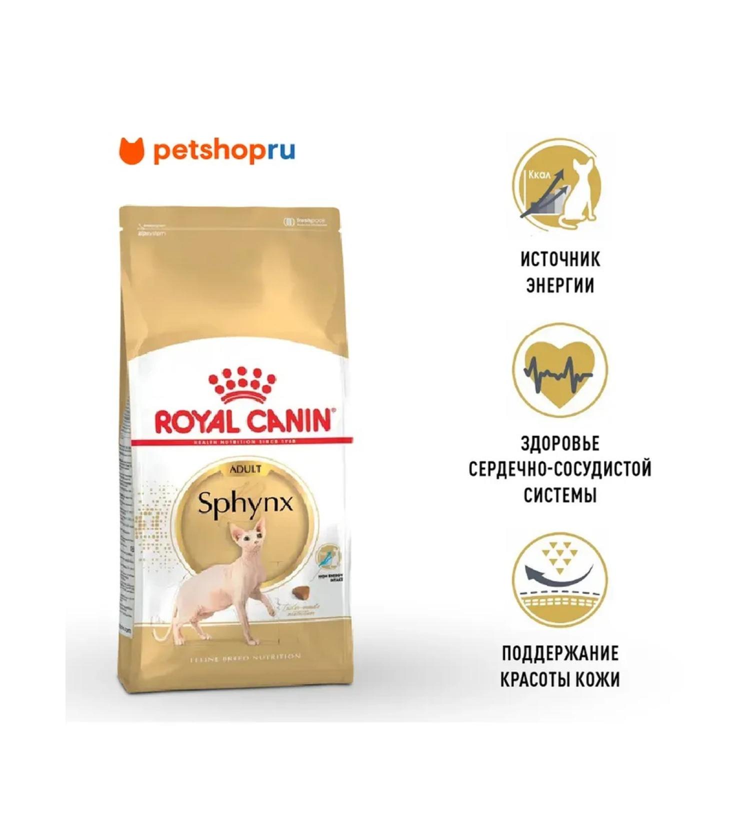 ROYAL CANIN Dry food for sphinx cats from 12 months SPhynx Adult 10 kg - Buy Online on GoSupps.com