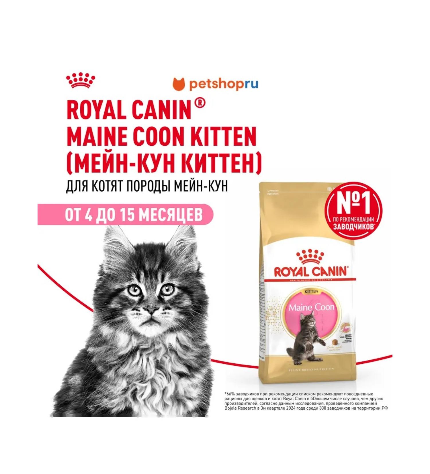 ROYAL CANIN Main Coon Kitten Dry food for kittens of the Maine Kun breeds 0.4kg - Buy Online on GoSupps.com