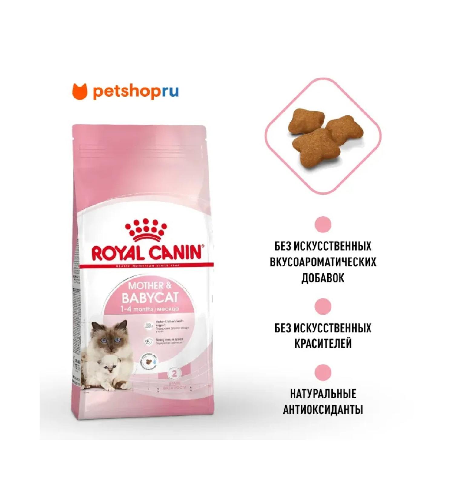 ROYAL CANIN Main Coon Kitten Dry food for kittens of the Maine Kun breeds 10kg - Buy Online on GoSupps.com