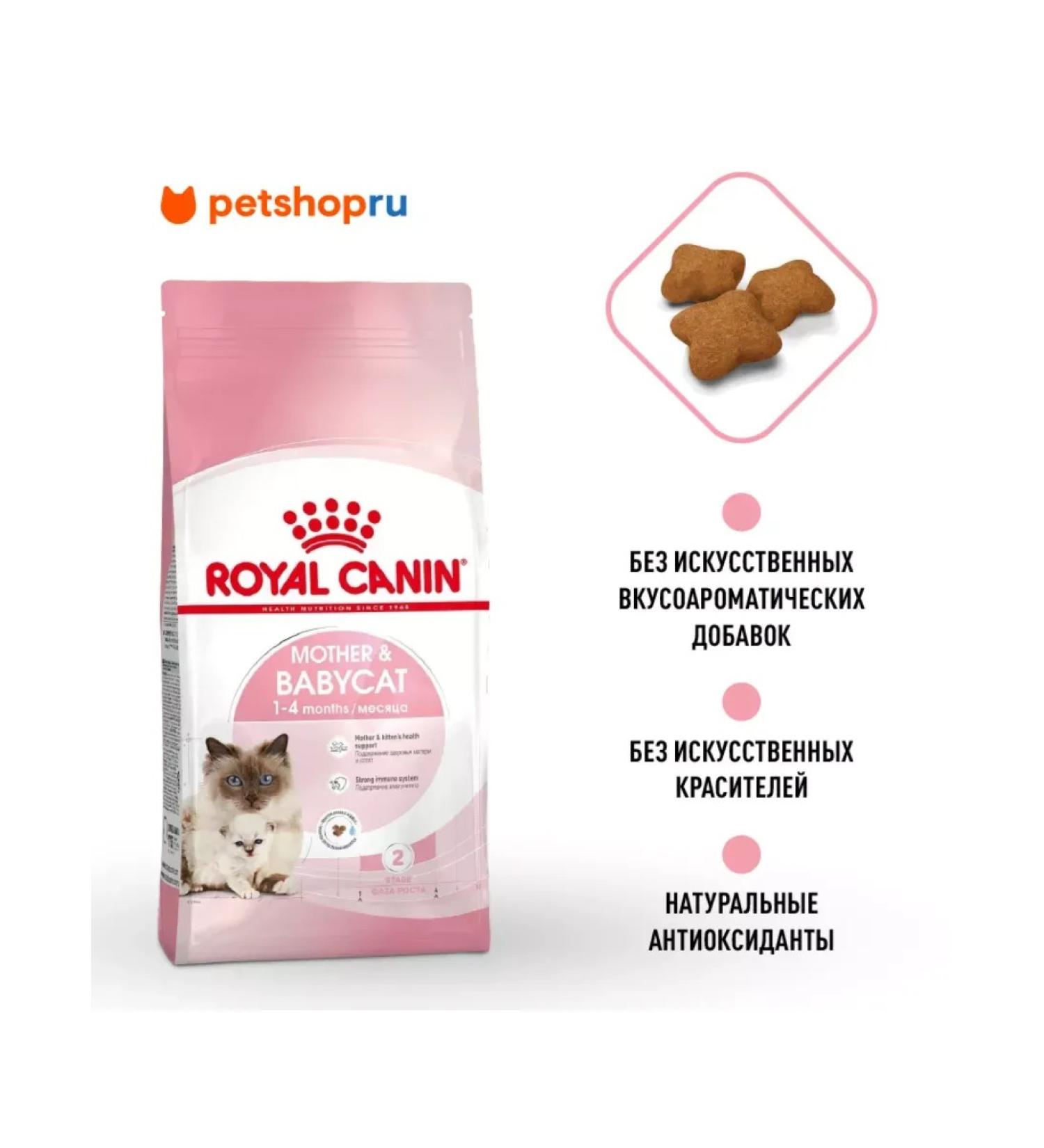 ROYAL CANIN Dry food for kittens and pregnant. Koshka Mother & Babycat 2kg - Buy Online on GoSupps.com