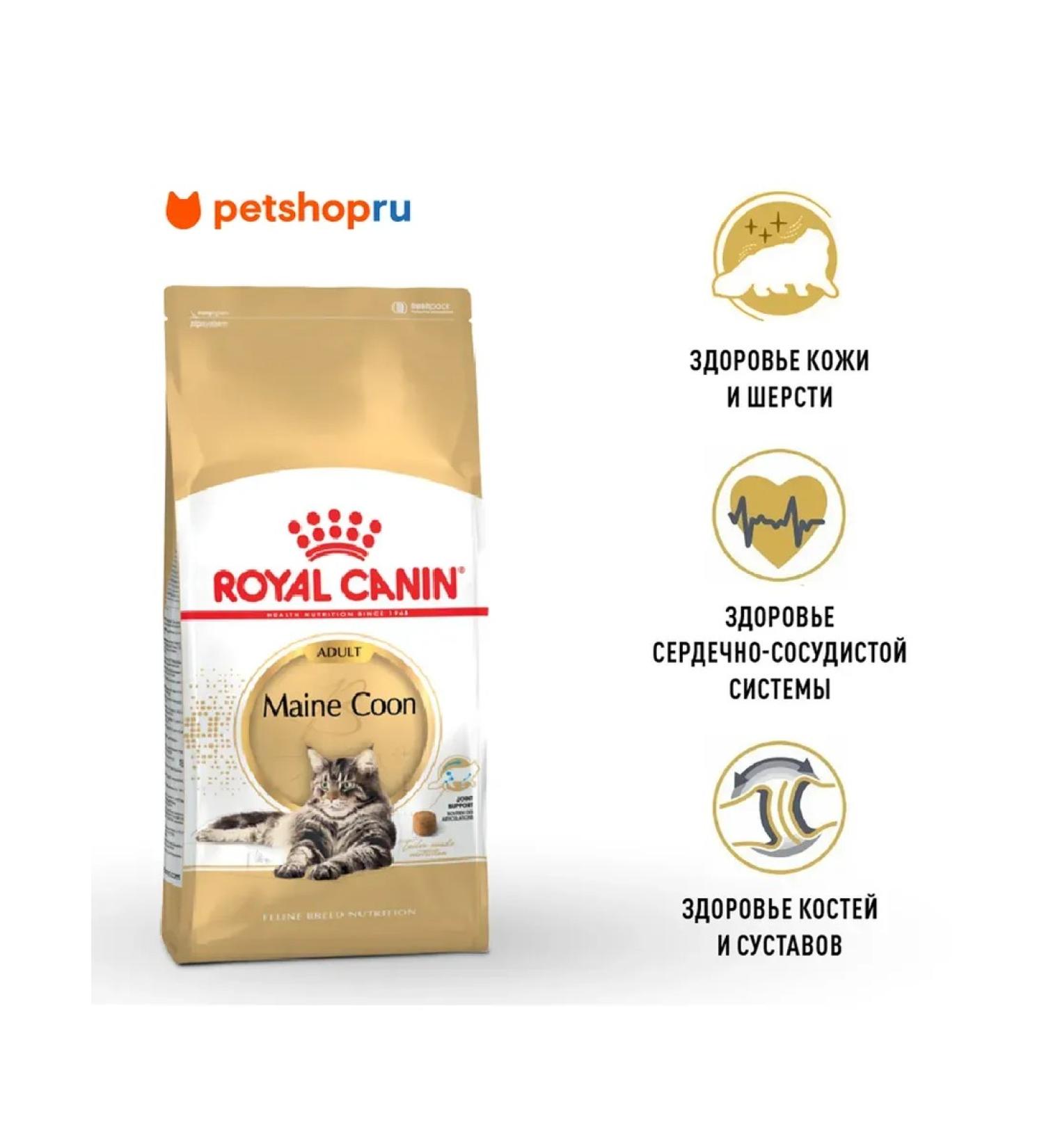 ROYAL CANIN Main Coon Adult Cat Main-Kun cats 2 kg - Buy Online on GoSupps.com