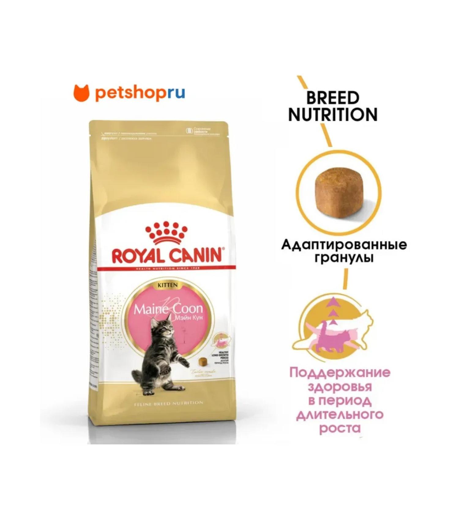 ROYAL CANIN Main Coon Kitten Dry food for kittens of the Maine Kun breeds 2kg - Buy Online on GoSupps.com