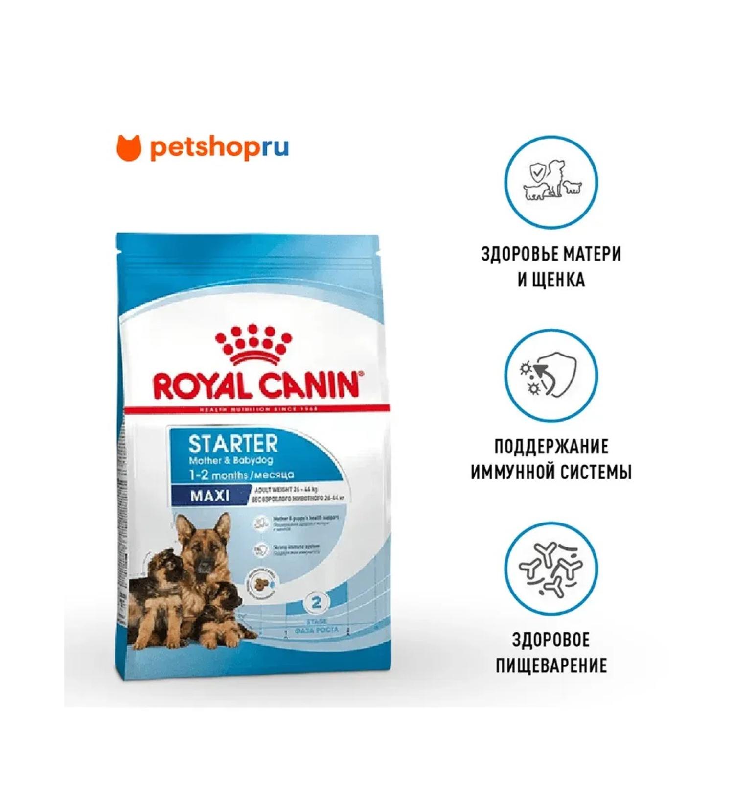ROYAL CANIN Dry food for large puppies up to 2 months Maxi Starter 4 kg - Buy Online on GoSupps.com