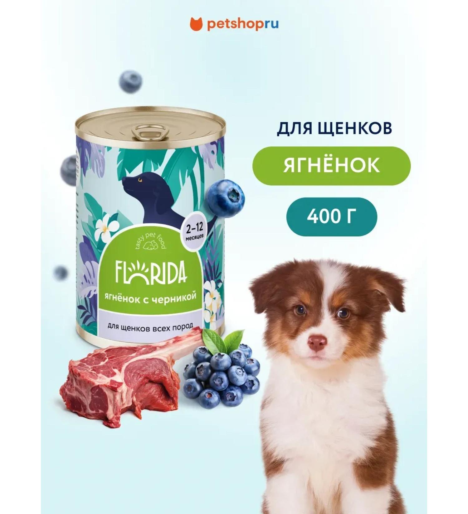 Florida Canned food for puppies lambs with blueberries 400 g - Buy Online on GoSupps.com