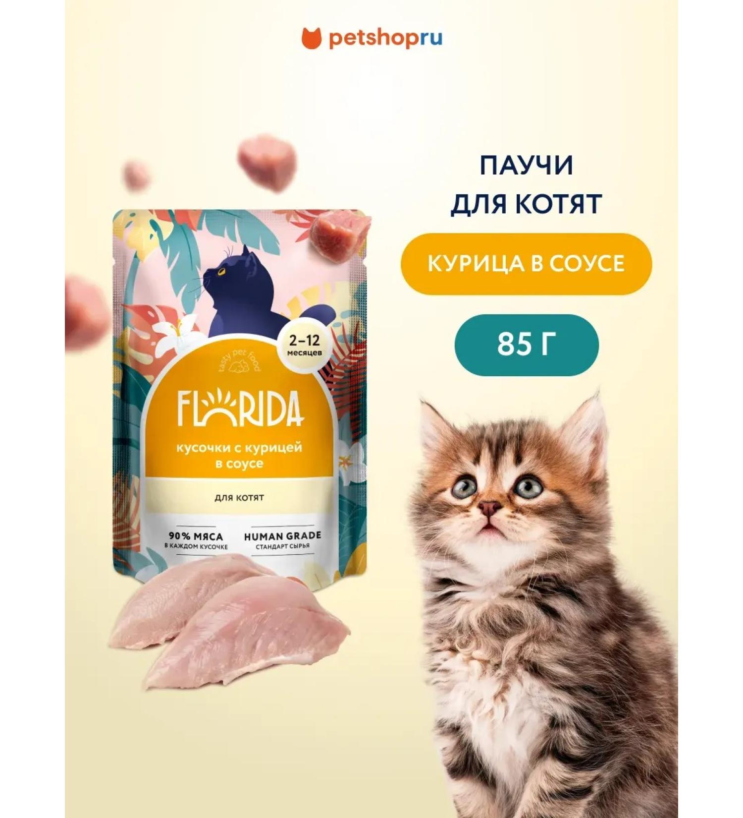 Florida Spider for kittens pieces of chicken in sauce 85 g - Buy Online on GoSupps.com