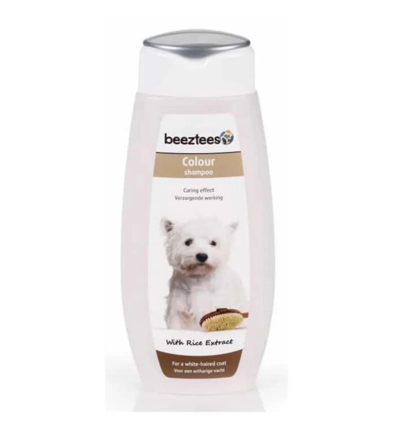 Beeztees white dog dogs