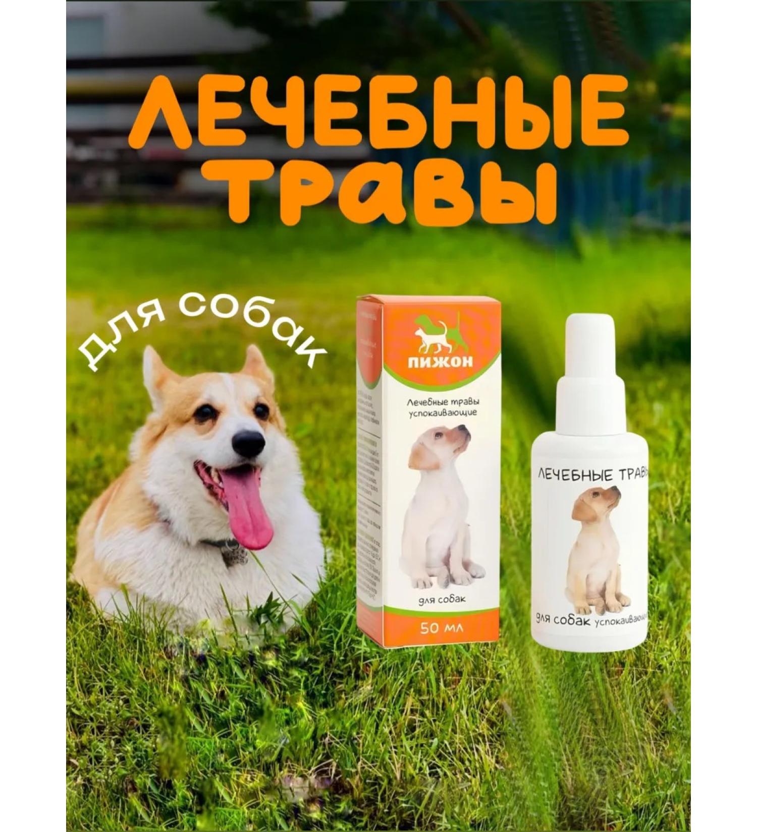 2pcs Soothing drops for dogs and puppies - Buy Online on GoSupps.com