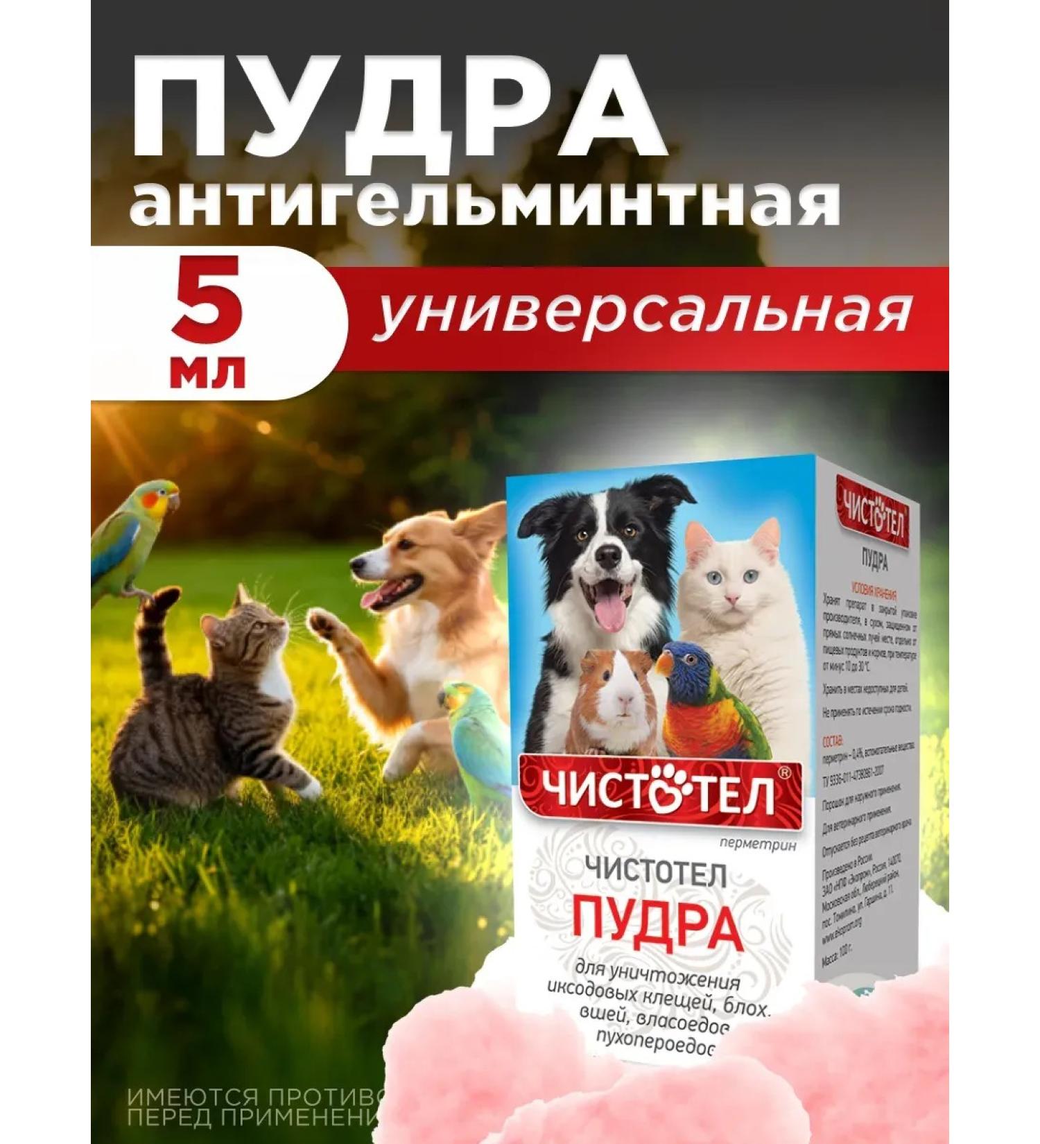 Neoterica Celandine Powder from Blox universal for animals 100 g