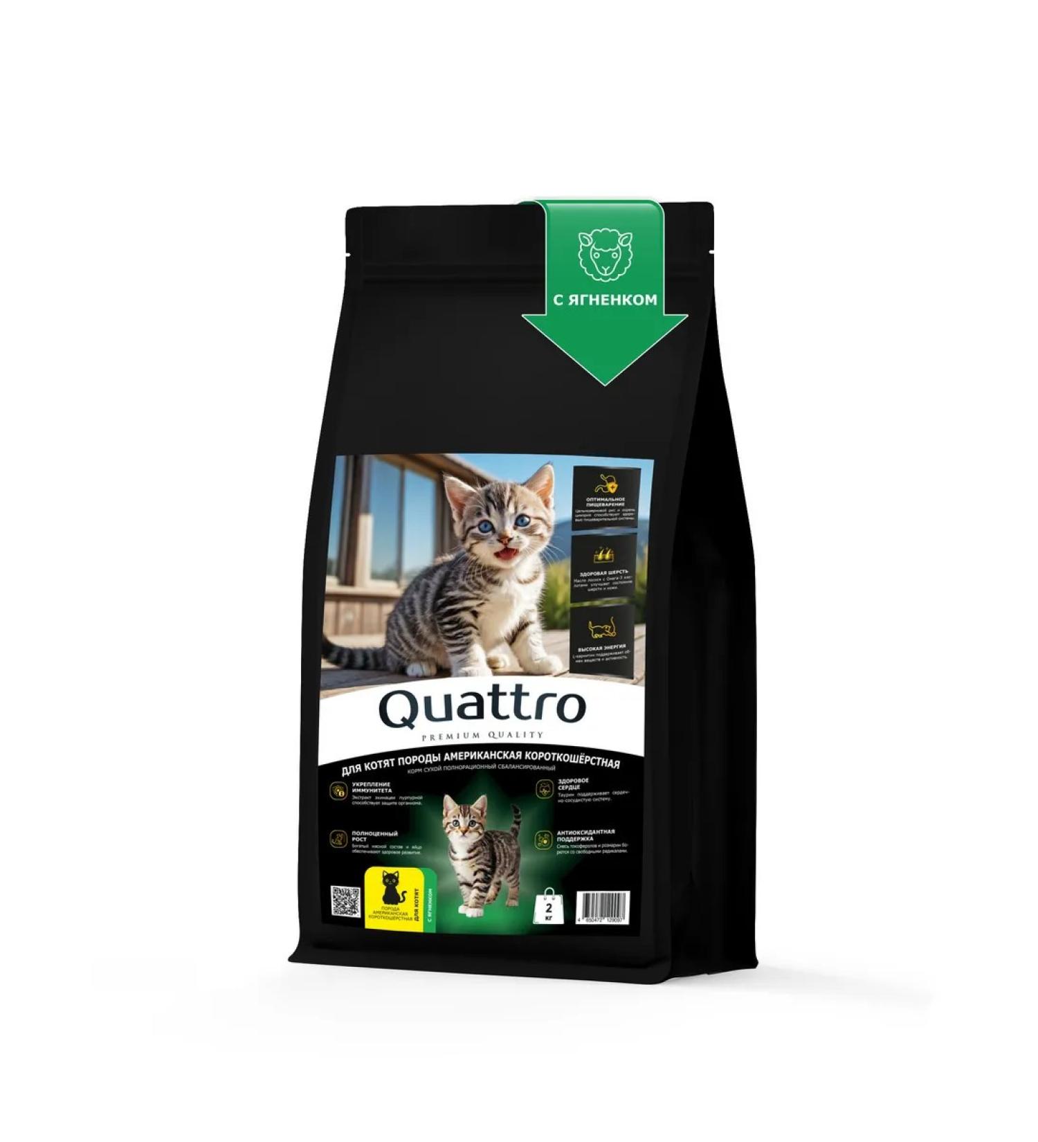QUATTRO Feed for kittens American short -haired with lamb 2 kg - Buy Online on GoSupps.com