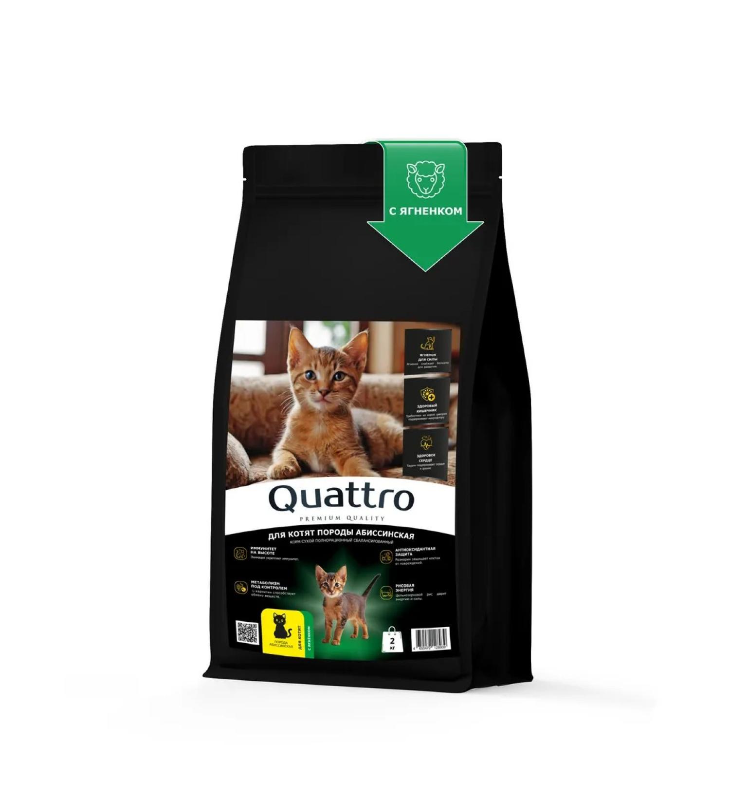 QUATTRO Feed for kittens Abyssinian with lamb 2 kg - Buy Online on GoSupps.com