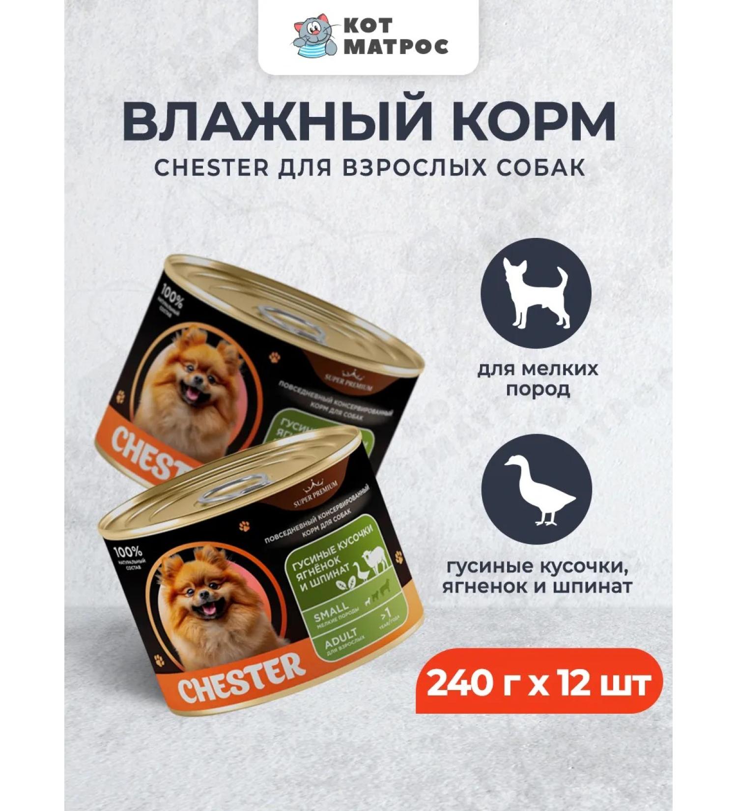 Chester Wet food for dogs of small breeds with gussy - 240 g x 12 pcs - Buy Online on GoSupps.com