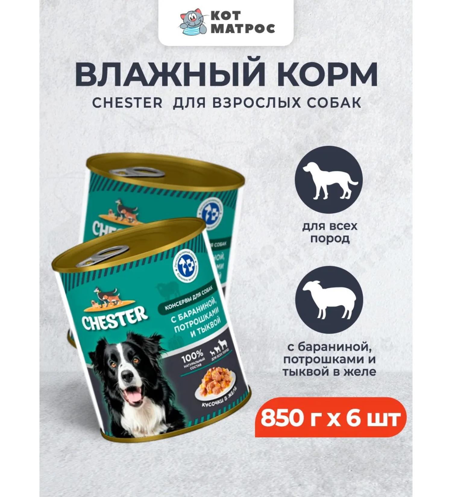 Chester Wet feed for dogs of all breeds with lamb - 850g x 6pcs - Buy Online on GoSupps.com