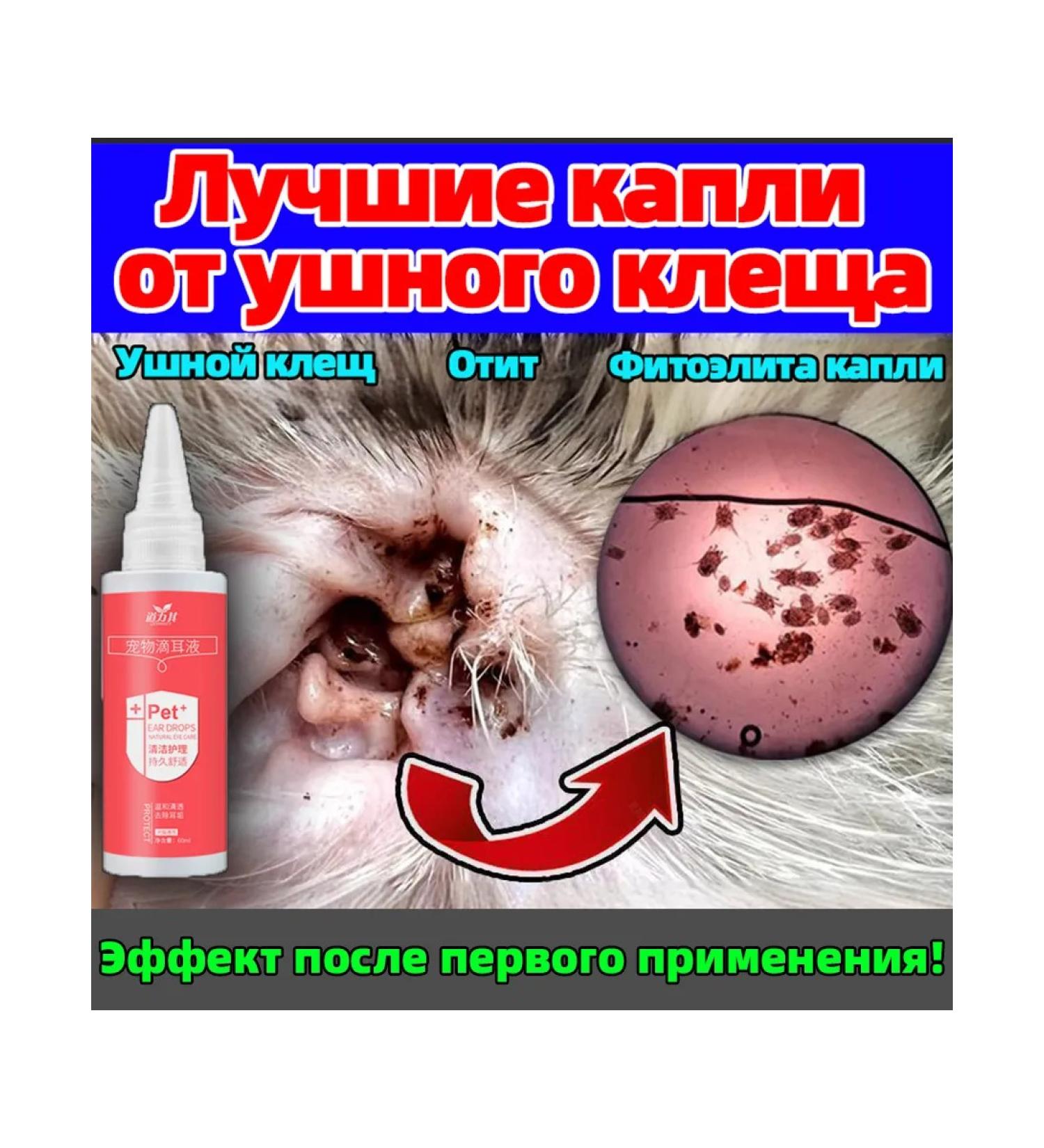 Bio drops earpiece for dogs and cats 60 ml - Buy Online on GoSupps.com
