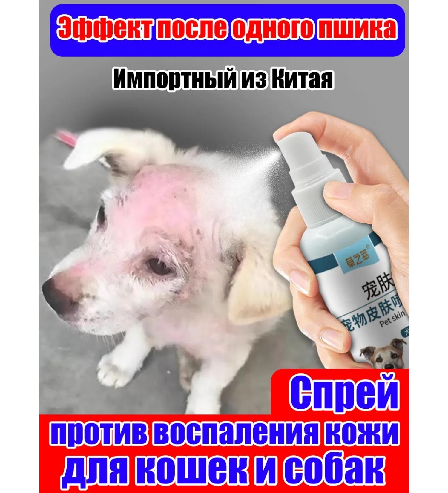 Stop itch for dogs Suspension from allergies 100 ml - Buy Online on GoSupps.com